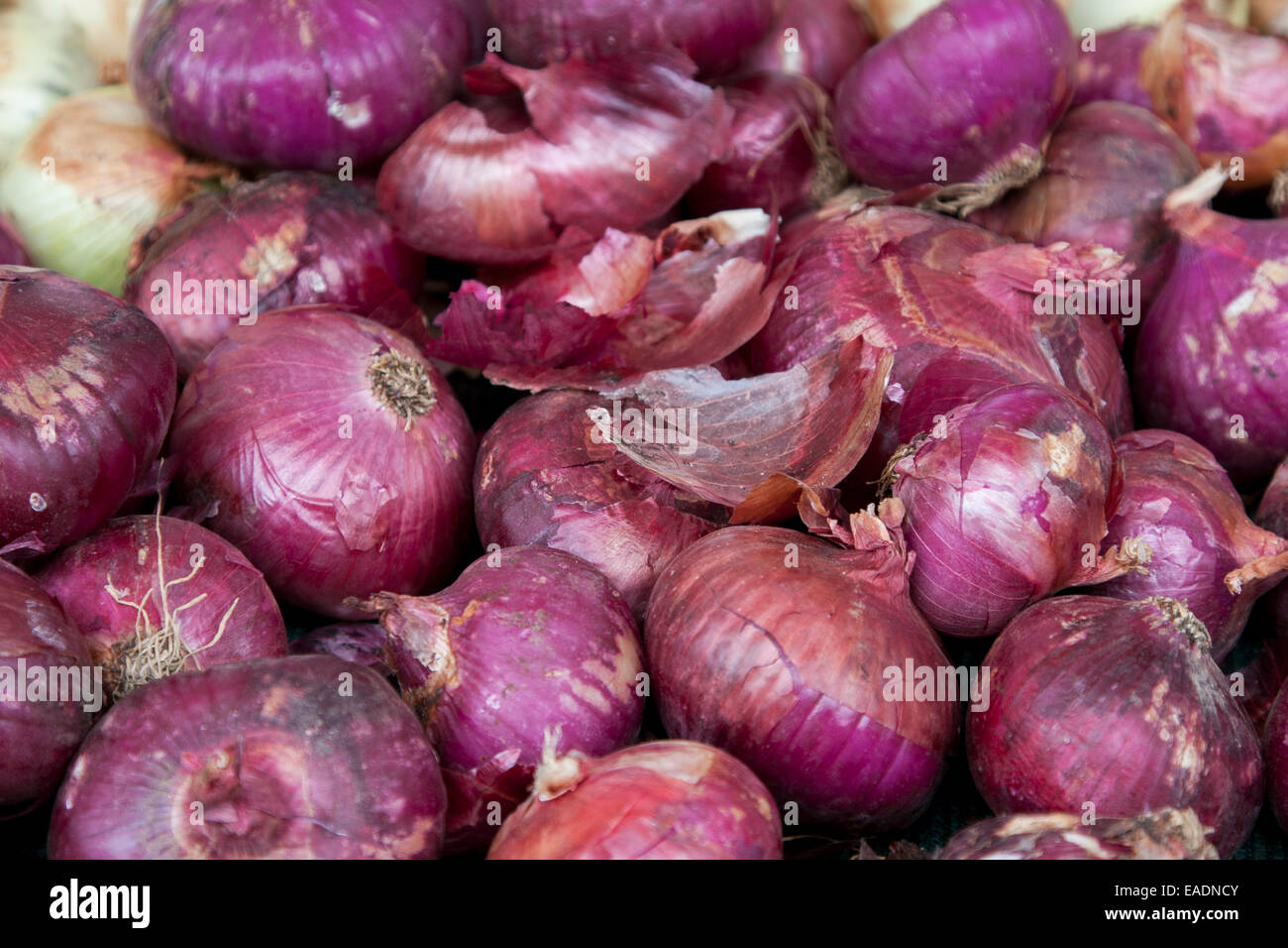 Red onions at the Berkeley Farmers' Market Stock Photo - Alamy