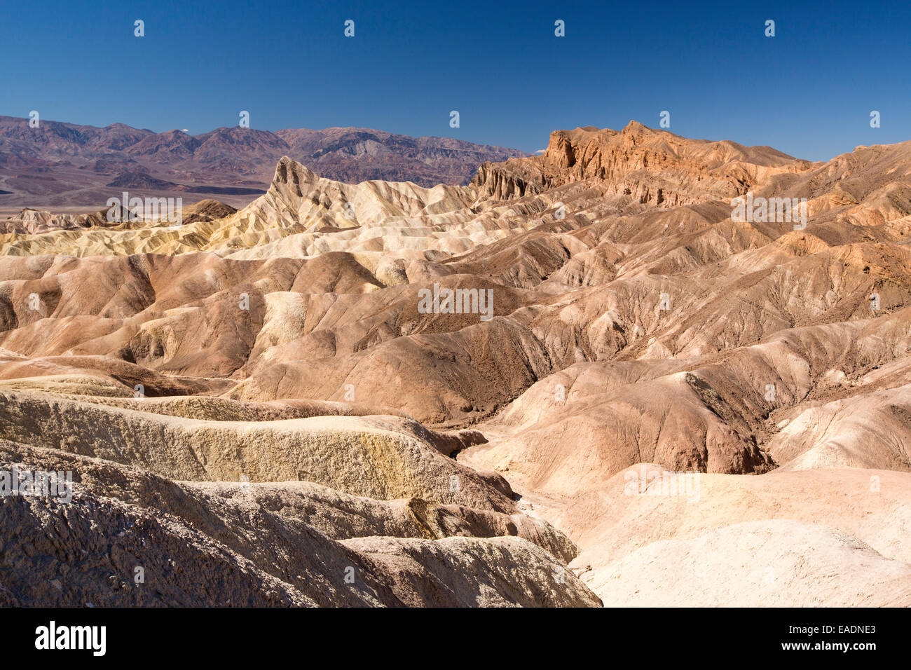 Badland scenery at Zabriskie Point in Death Valley which is the lowest, hottest, driest place in the USA, with an average annual rainfall of around 2 inches, some years it does not receive any rain at all. Stock Photo