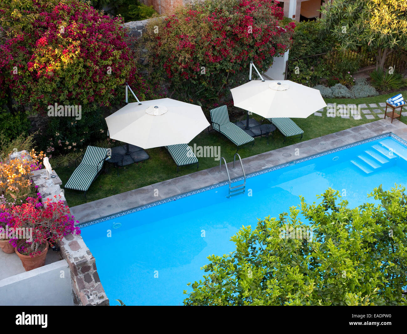 Resort Swimming Pool and garden Stock Photo