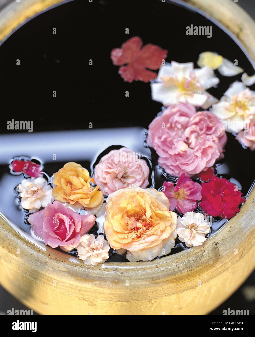 various roses in ceramic barrel Stock Photo