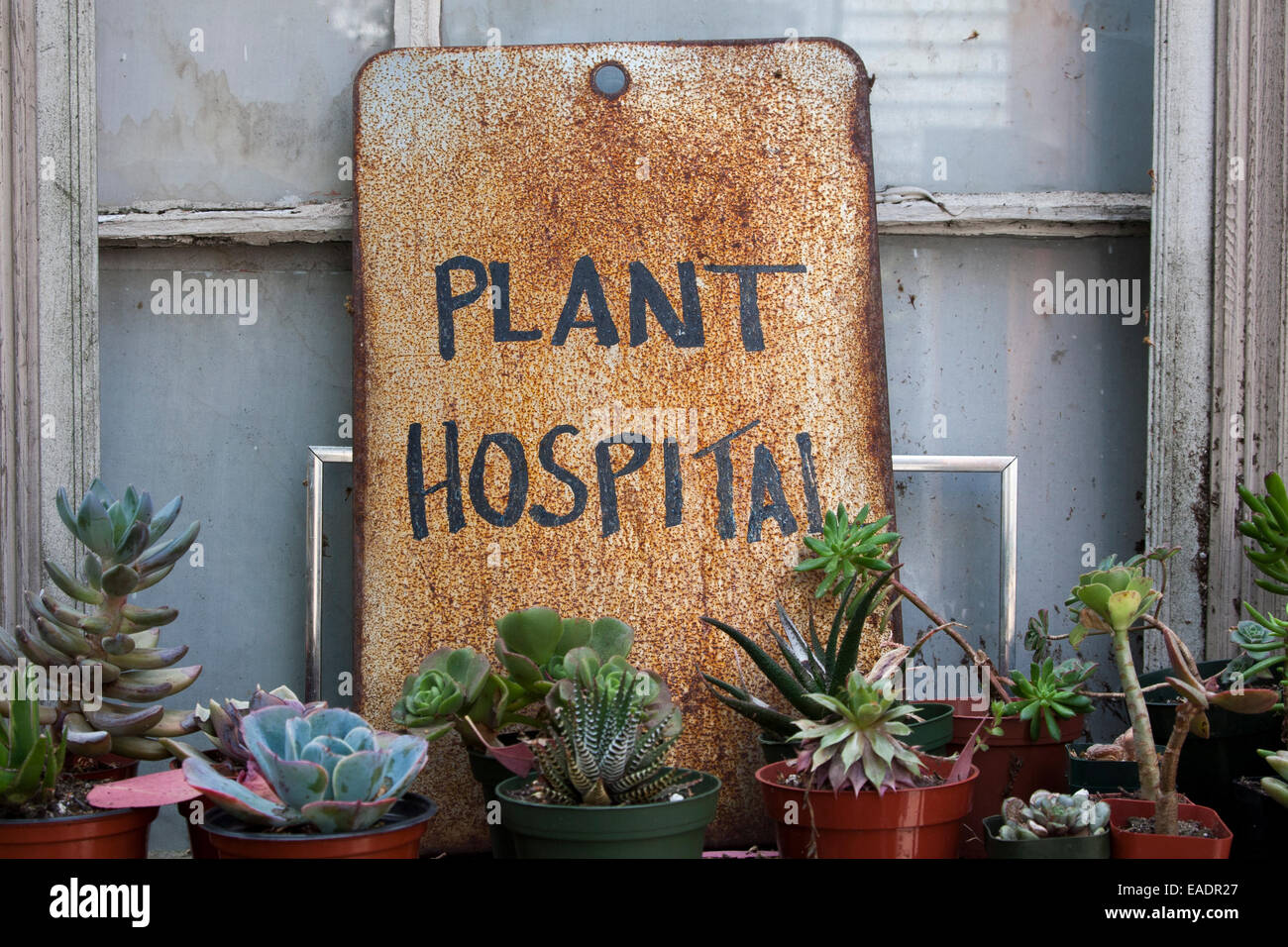 The plant hospital in Bernal Heights in San Francisco Stock Photo Alamy