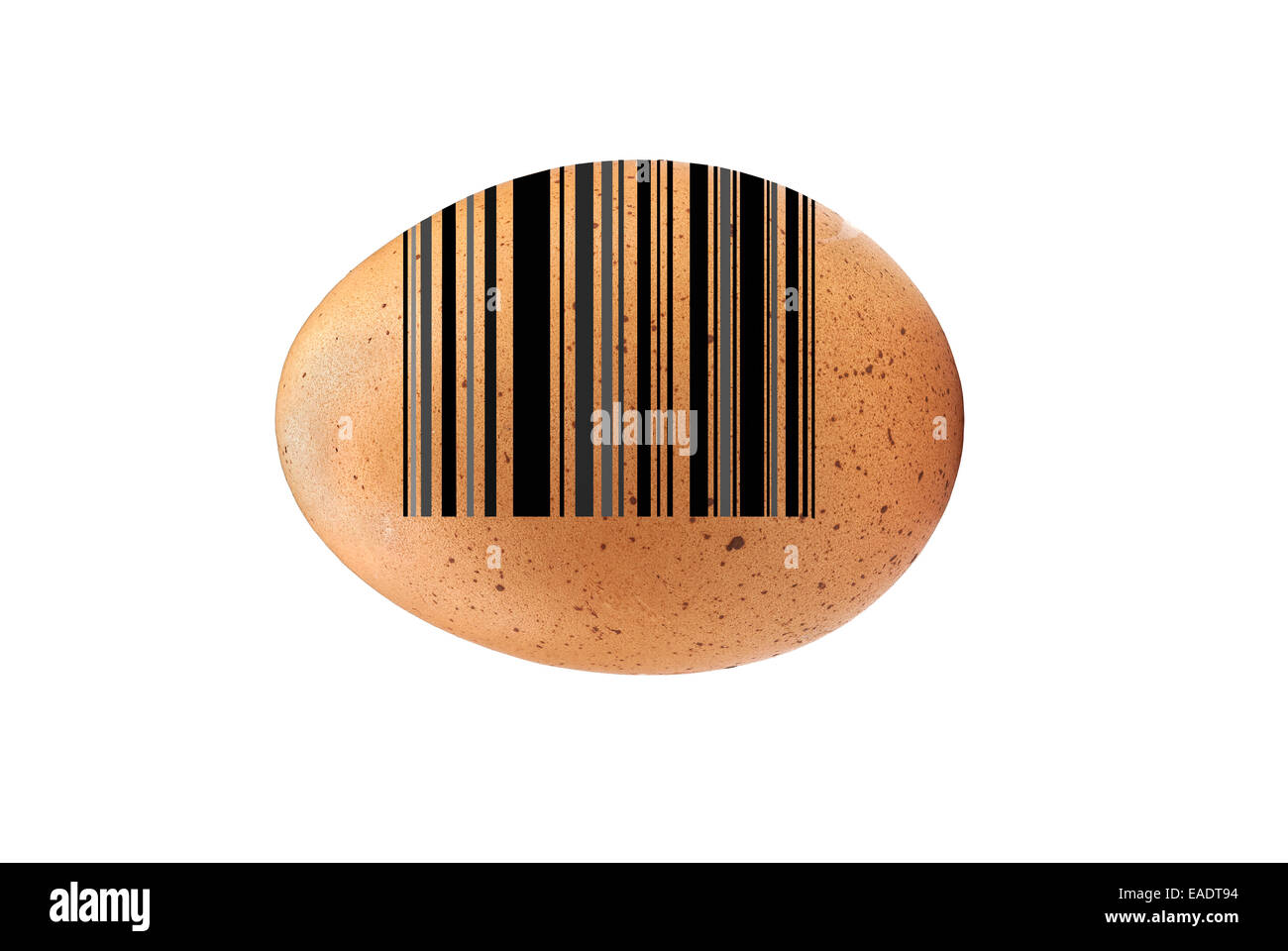 Brown Egg Barcode Stock Photo