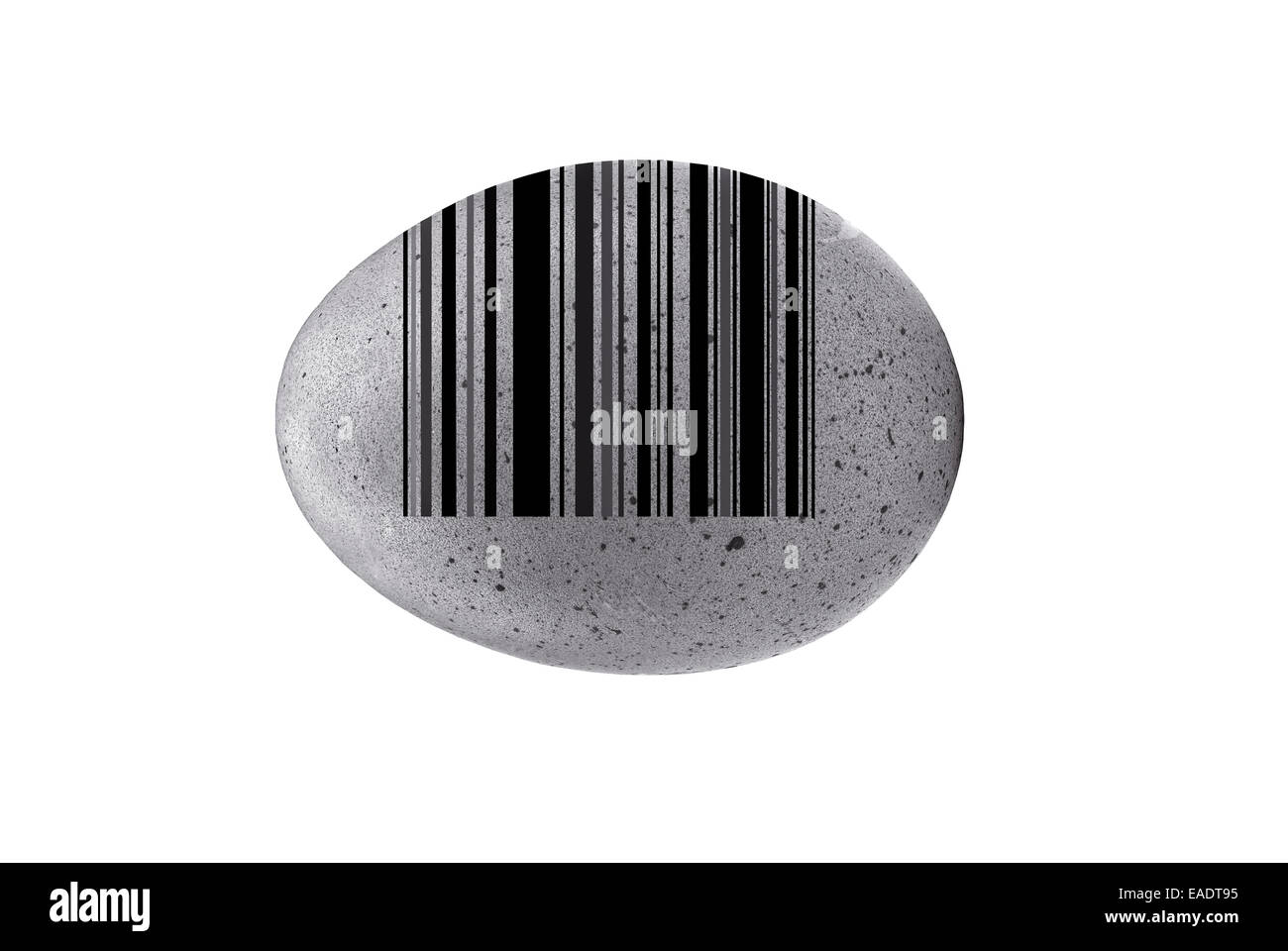 black and white egg barcode Stock Photo