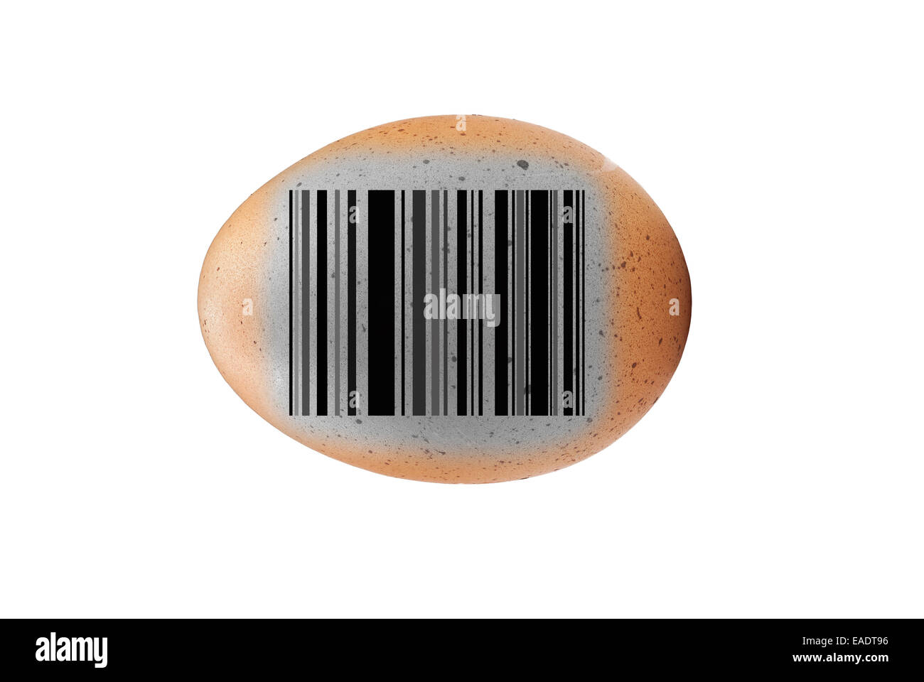 Black and White ,Brown egg on White background Stock Photo