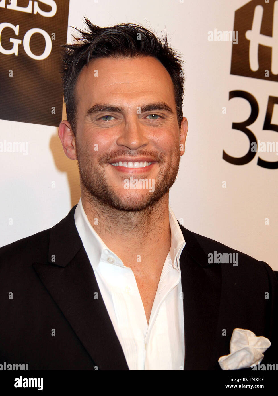 New York, New York, USA. 12th Nov, 2014. Actor CHEYENNE JACKSON attends the 2014 Emery Awards