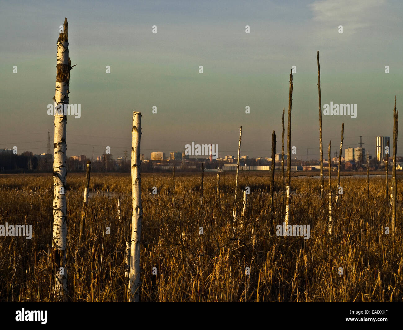Example Anthropogenic Landscape Anthropogenic waste hi-res stock photography and images - Alamy