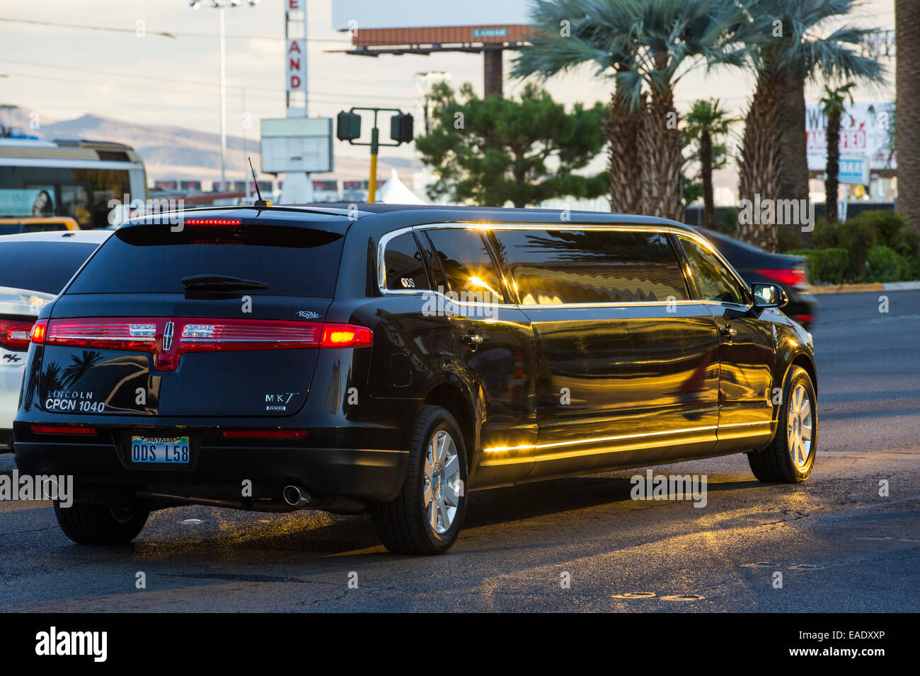 A Stretch limo on Las Vegas Boulevard , Nevada, USA, probably the most unsustainable city in the world, it uses vast quantities Stock Photo