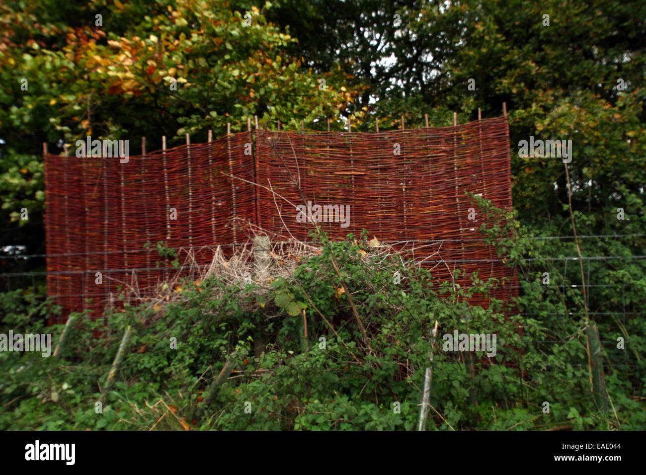 Anmer Hall, Norfolk, UK. 7th November, 2014. © Paul Marriott/Alamy Live News Stock Photo
