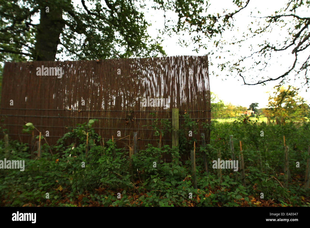 Anmer Hall, Norfolk, UK. 7th November, 2014. © Paul Marriott/Alamy Live News Stock Photo