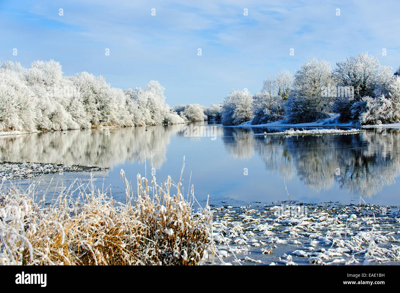 Beautiful sunny day in the winter on the river Erne, Co. Cavan , ireland Stock Photo