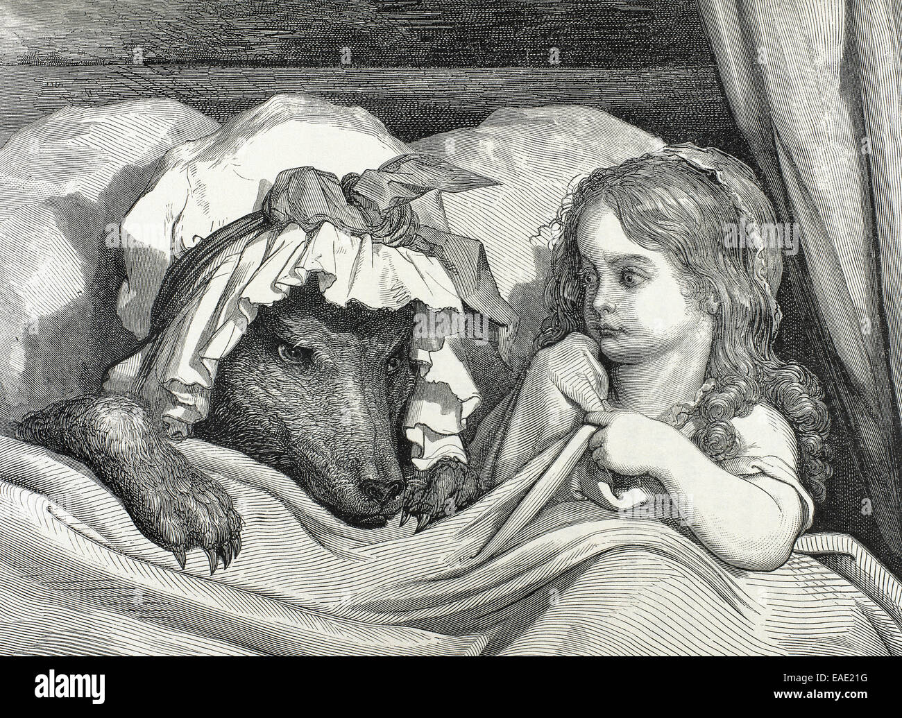 Charles Perrault 1628 1703 French Writer Little Red Riding Hood Astonished To See How Her Grandmother Looks Engraving Stock Photo Alamy