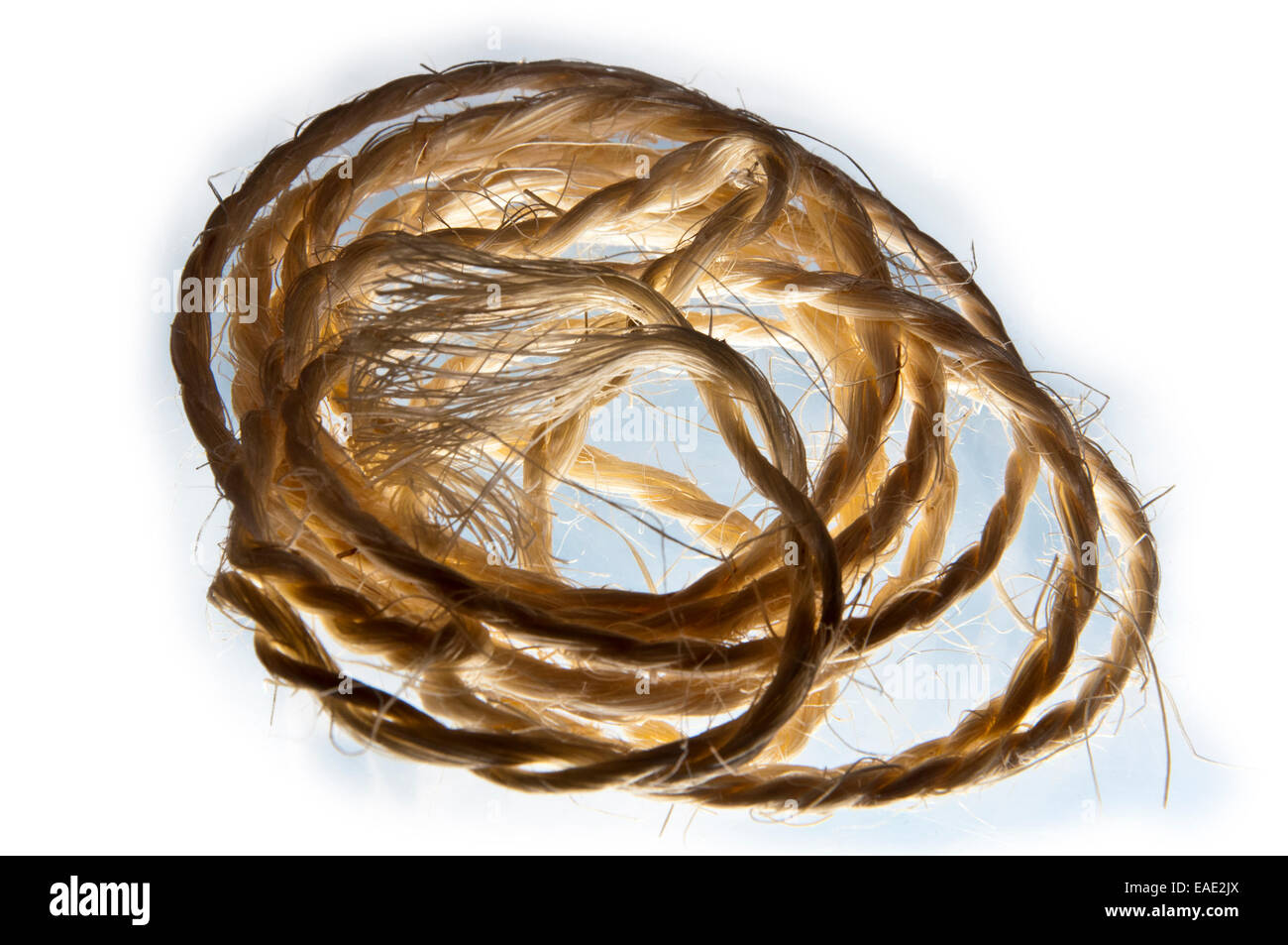 Sisal twines string Stock Photo - Alamy