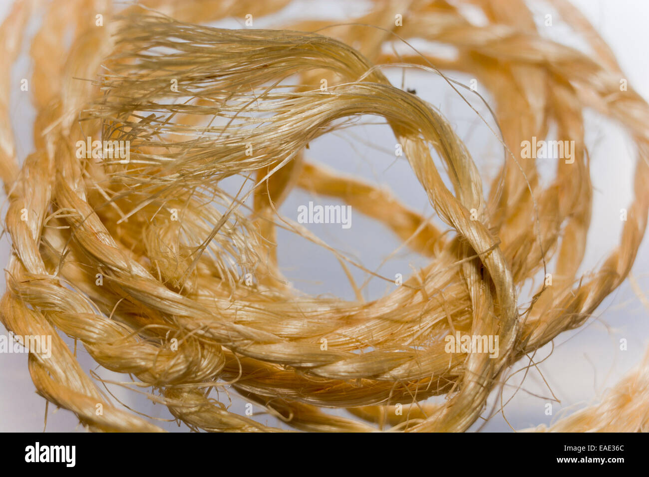 Sisal twines string Stock Photo - Alamy