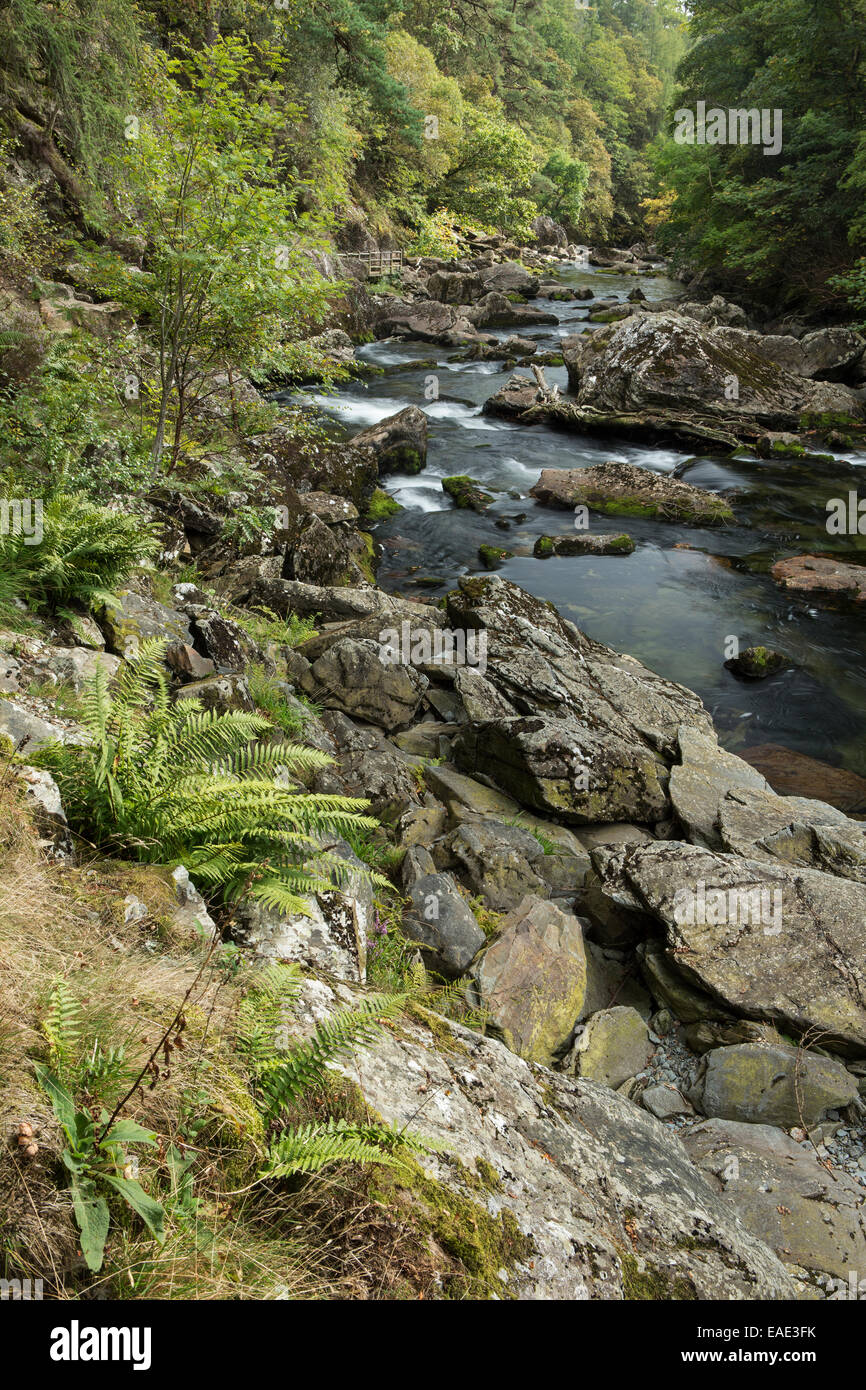 The river Glaslyn flows between the trees and rocks of the Aberglaslyn Pass in Snowdonia, Gwynedd, North Wales Stock Photo