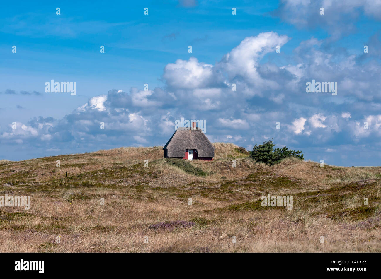 Thatched holiday cottage in dune landscape, Henne Strand, Jutland, Denmark Stock Photo