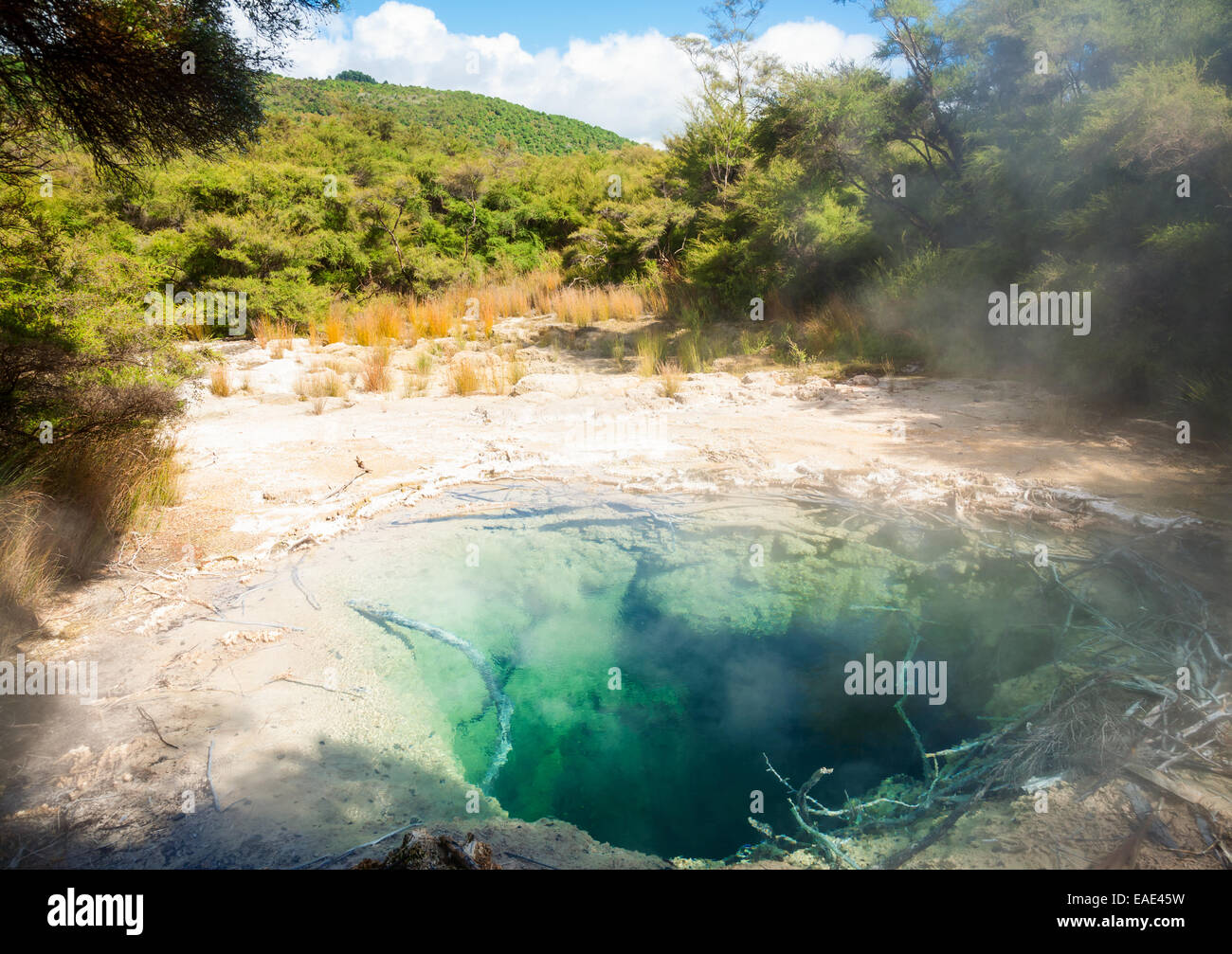 Tokaanu thermal park geothermal area in  New Zealand Stock Photo