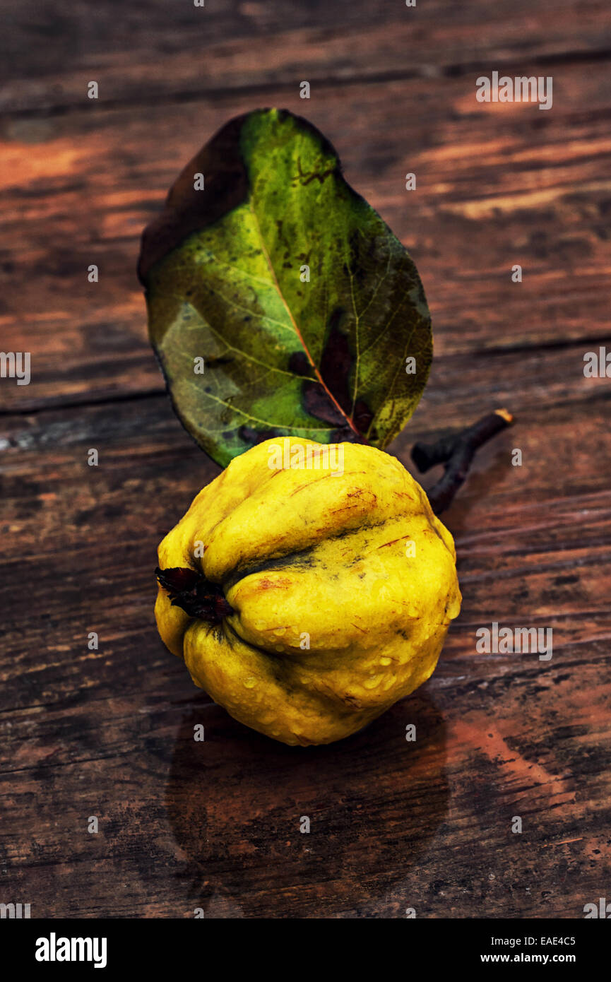 juicy,ripe quince fruit on wooden top Stock Photo