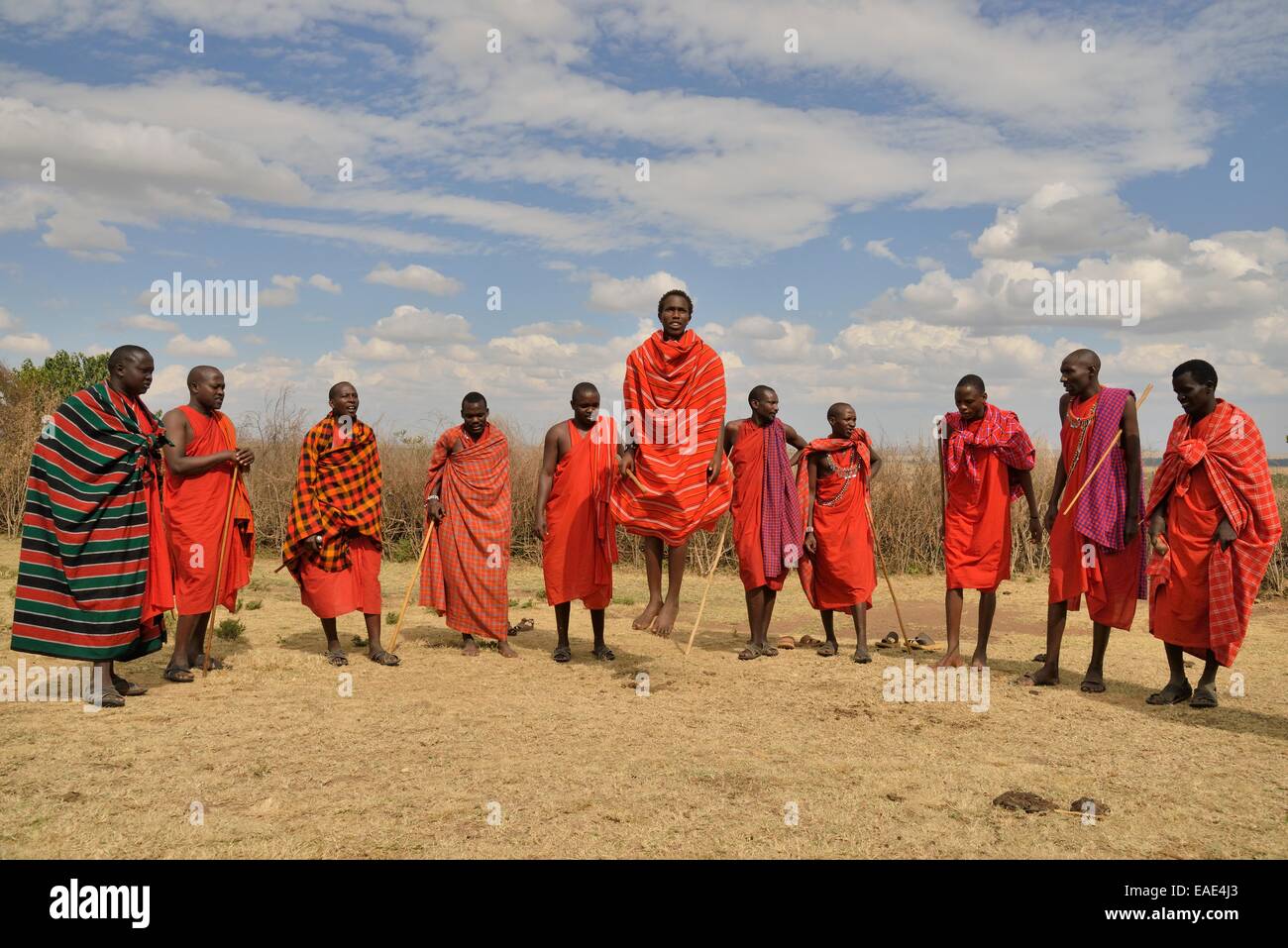 Maasai at a dance performance, Massai Mara, Enkutoto, Serengeti, Rift Valley province, Kenya Stock Photo