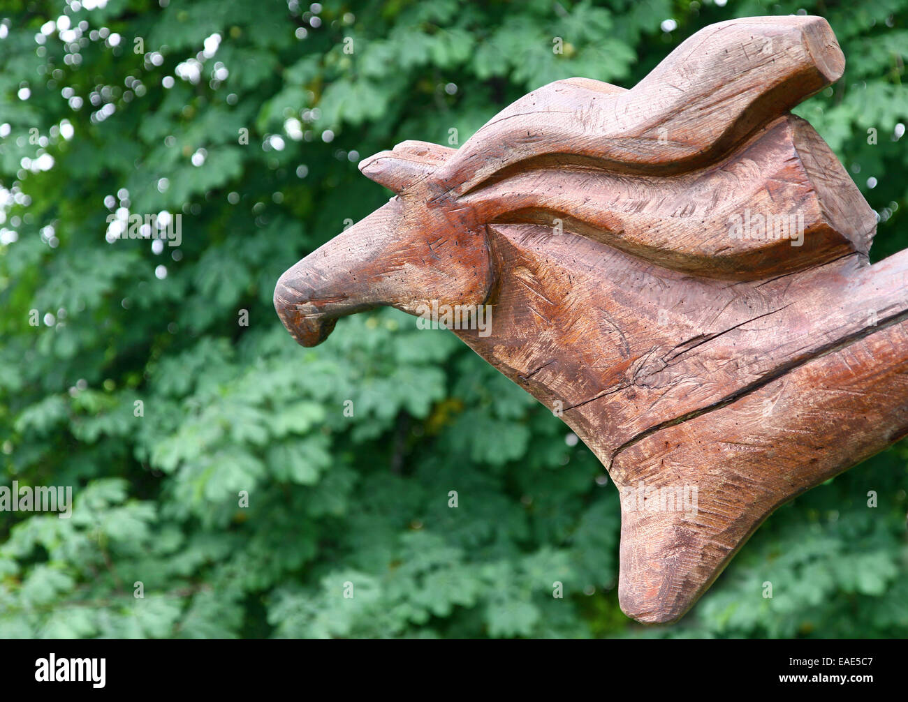Wooden horse sculpture against green foliage background Stock Photo Alamy