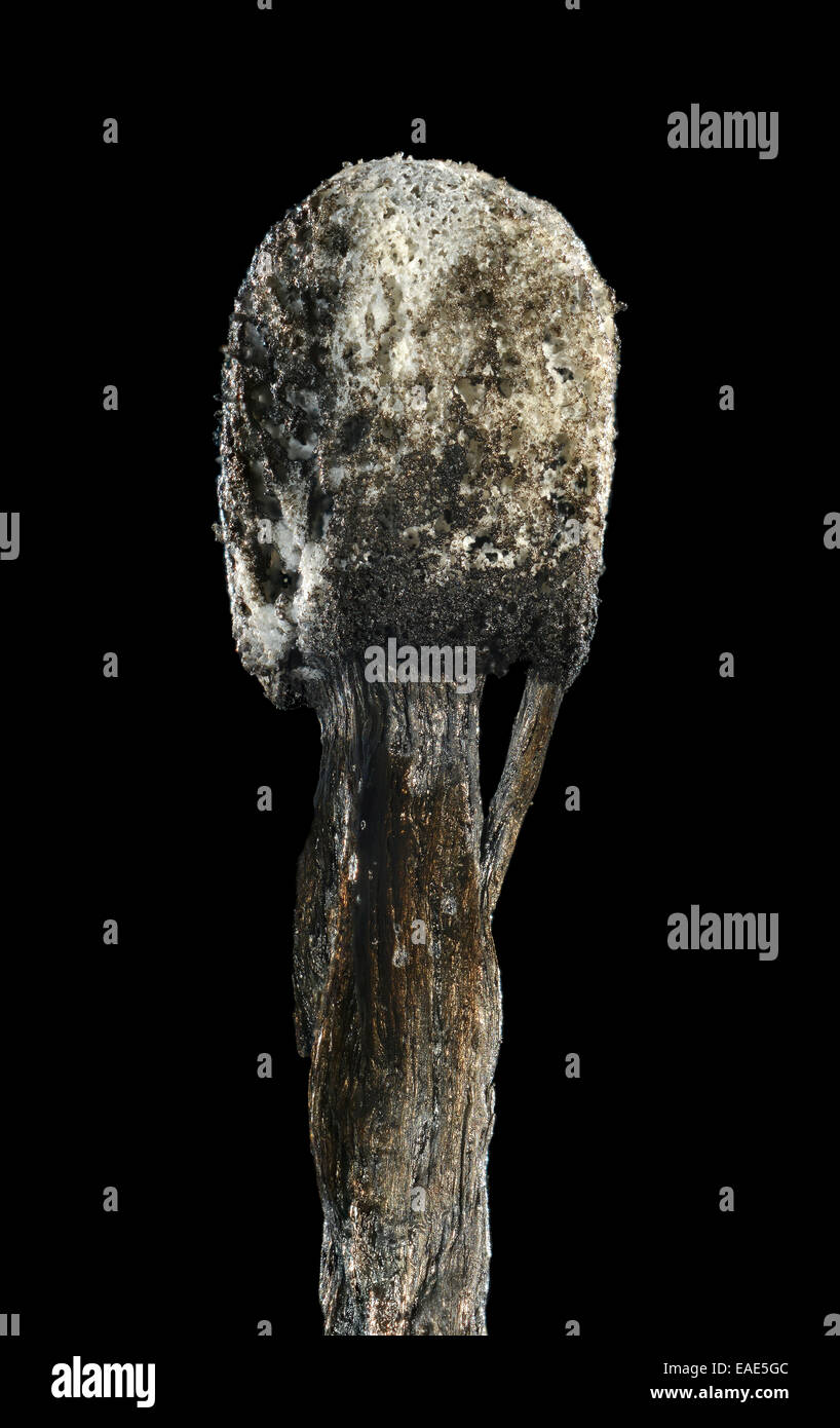 Burnt match hires stock photography and images Alamy