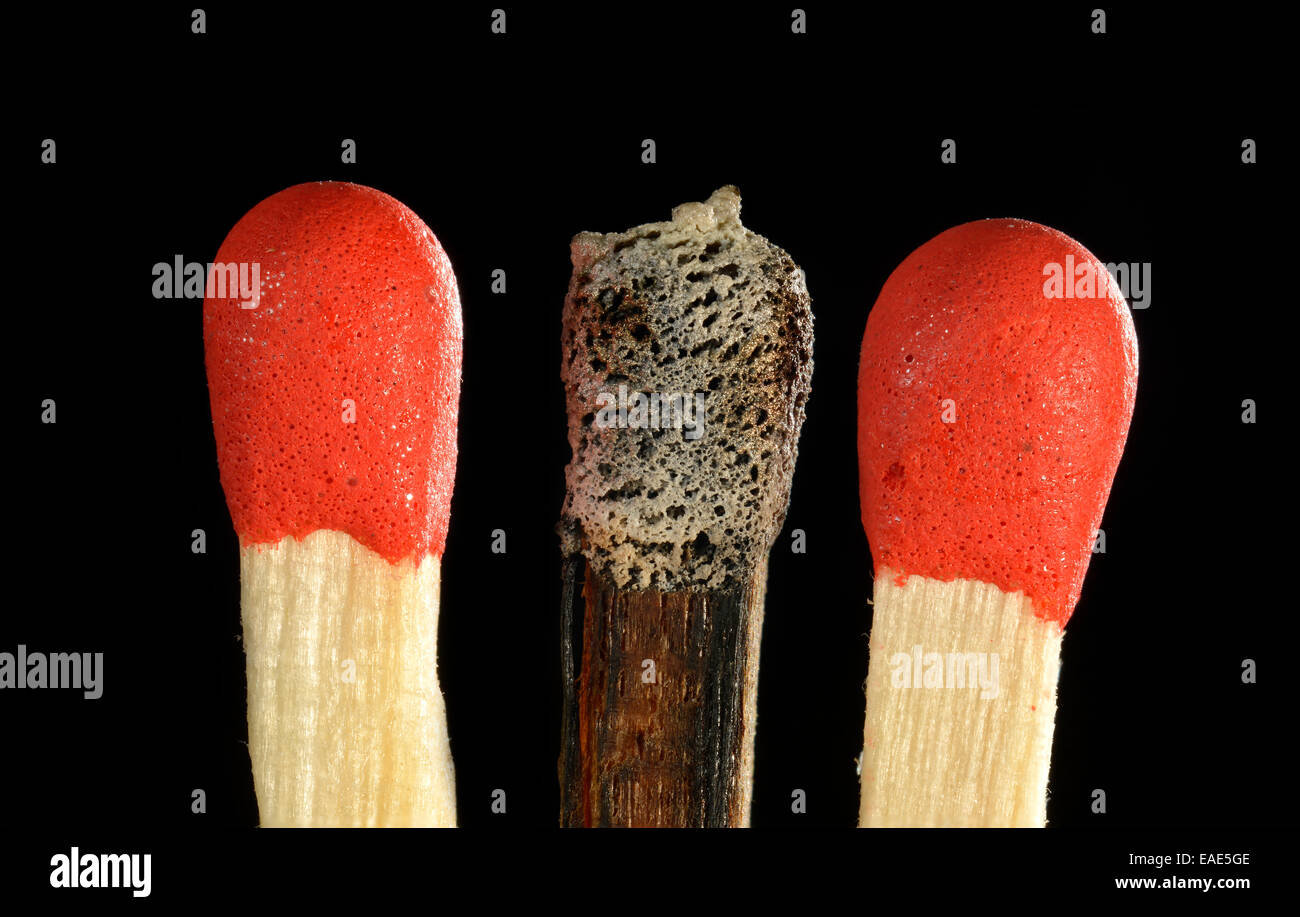 Matches with one burnt match head, symbolic image of burnout, bullying
