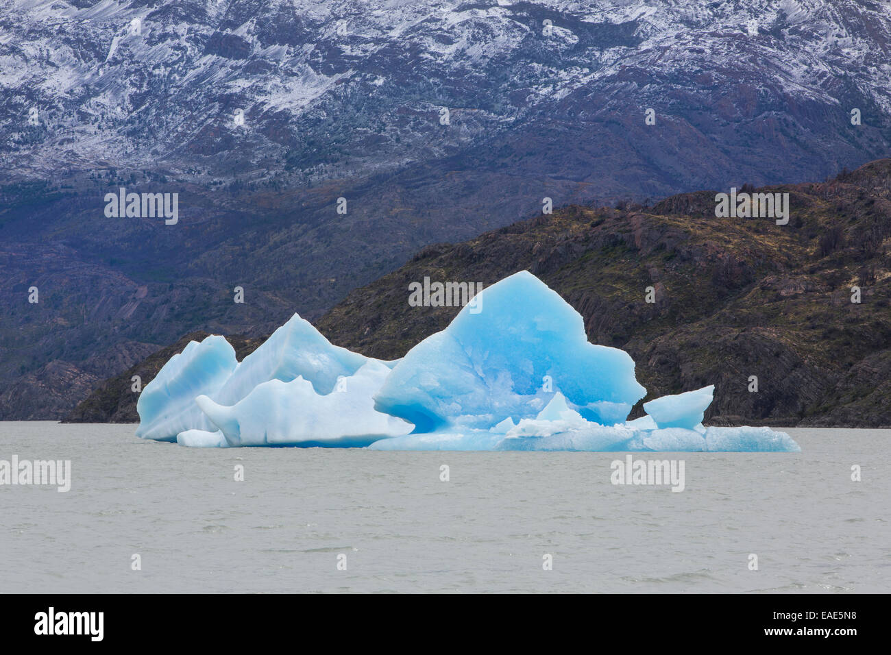 Ice fragments in the Grey Lake, Patagonia, Chile Stock Photo Alamy