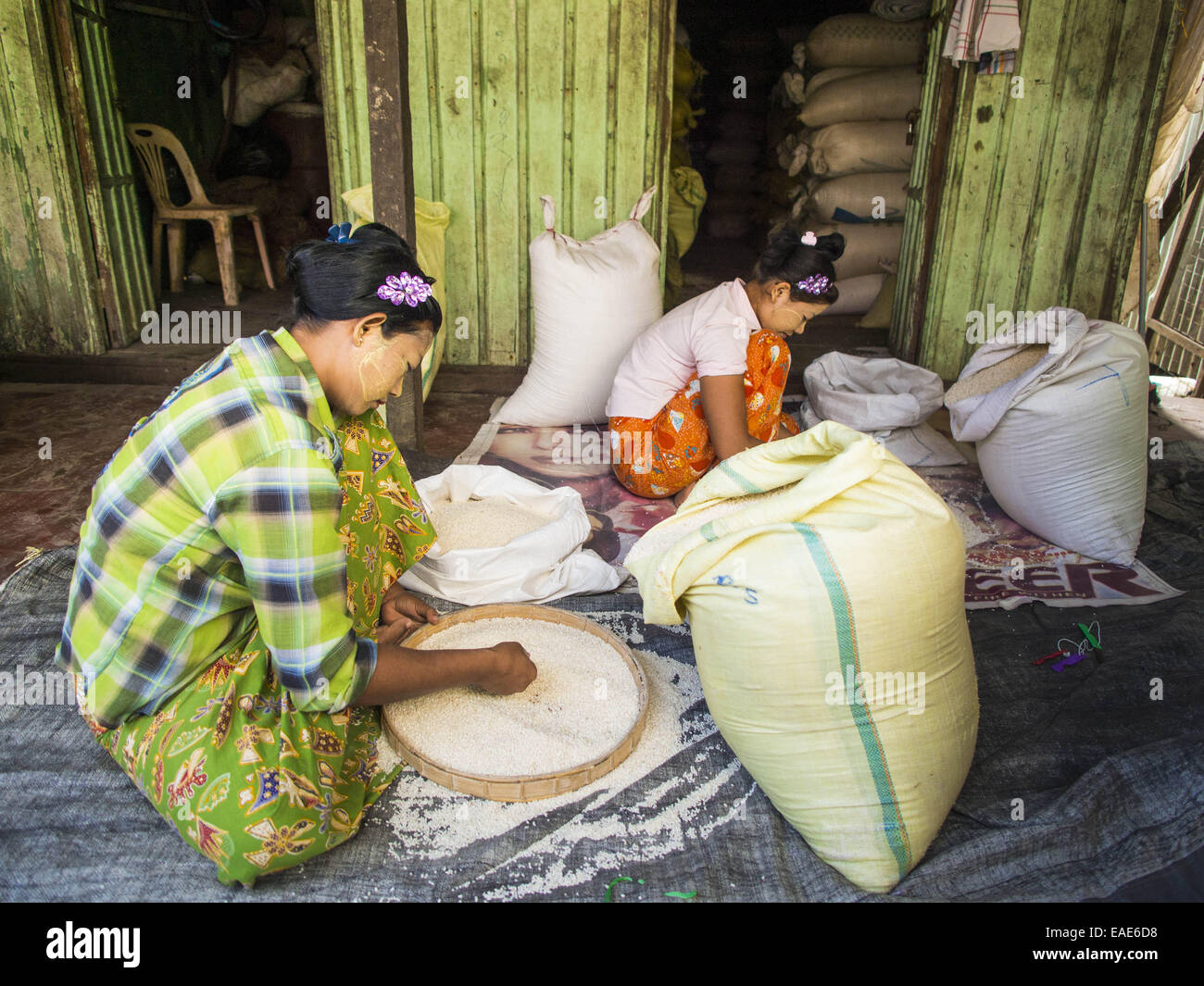 Sittwe, Rakhine, Myanmar. 10th Nov, 2014. Women sift rice in the rice ...
