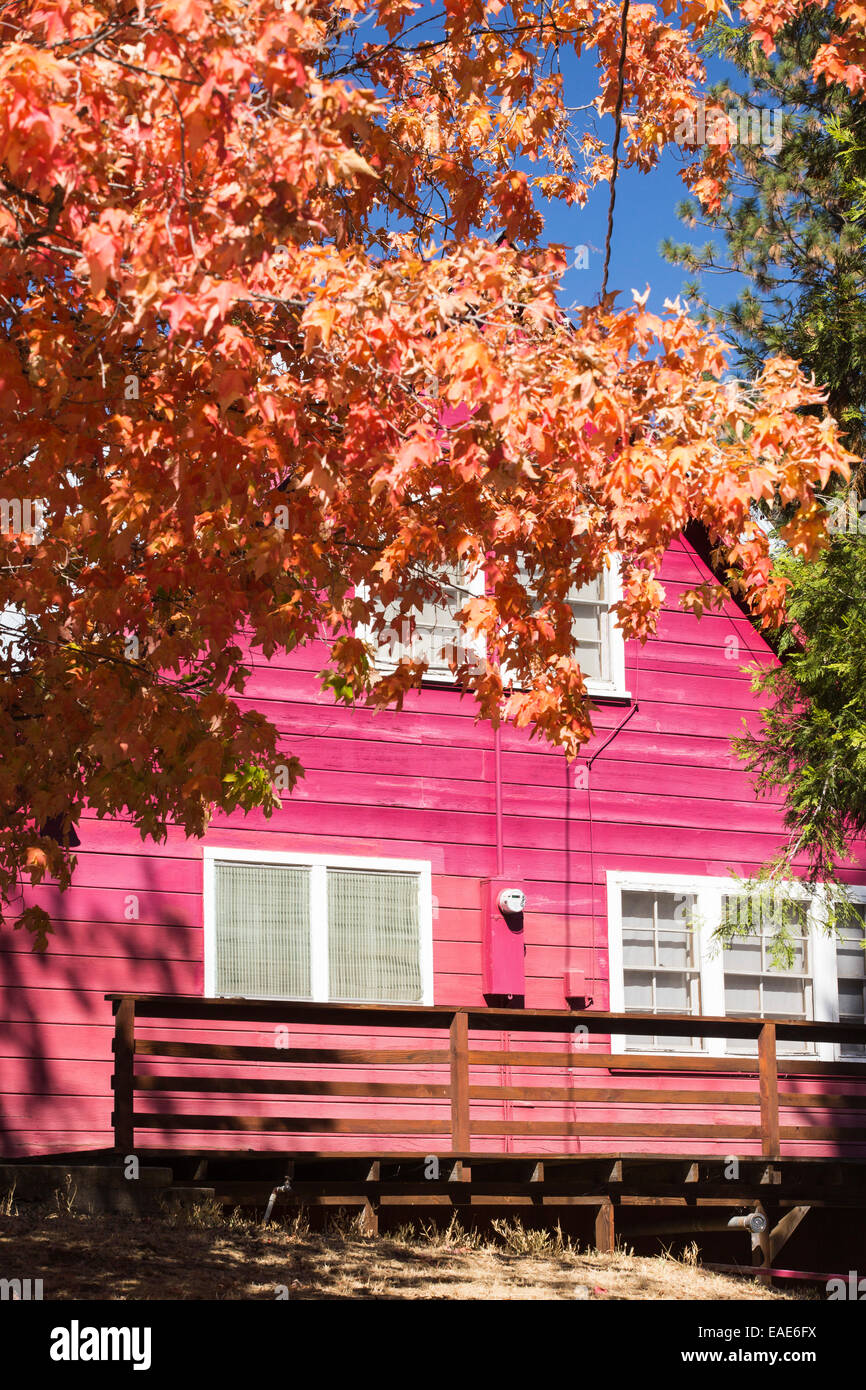 Fall colours around a house near springville, Tule river, California, USA. Stock Photo