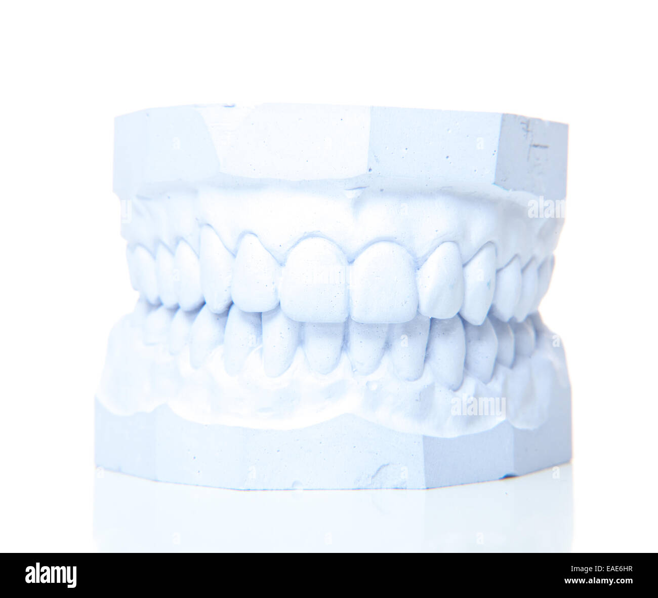 Plaster cast of perfect teeth. All on white background Stock Photo