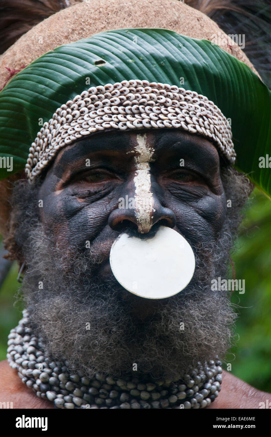 Tribal chief wearing a traditional dress, Highlands Region, Papua New Guinea Stock Photo