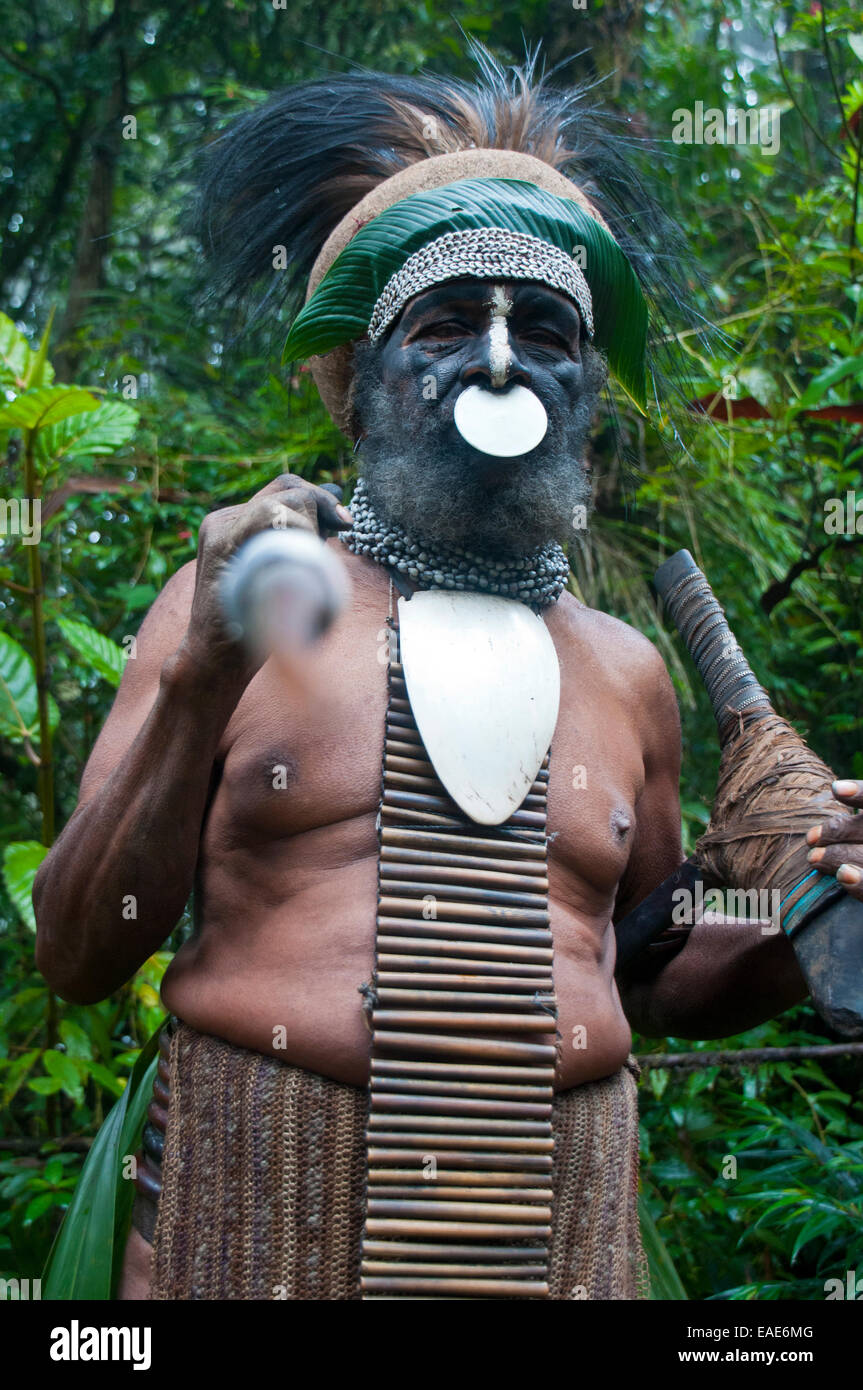 Tribal chief wearing a traditional dress holding a spear, Highlands Region, Papua New Guinea Stock Photo