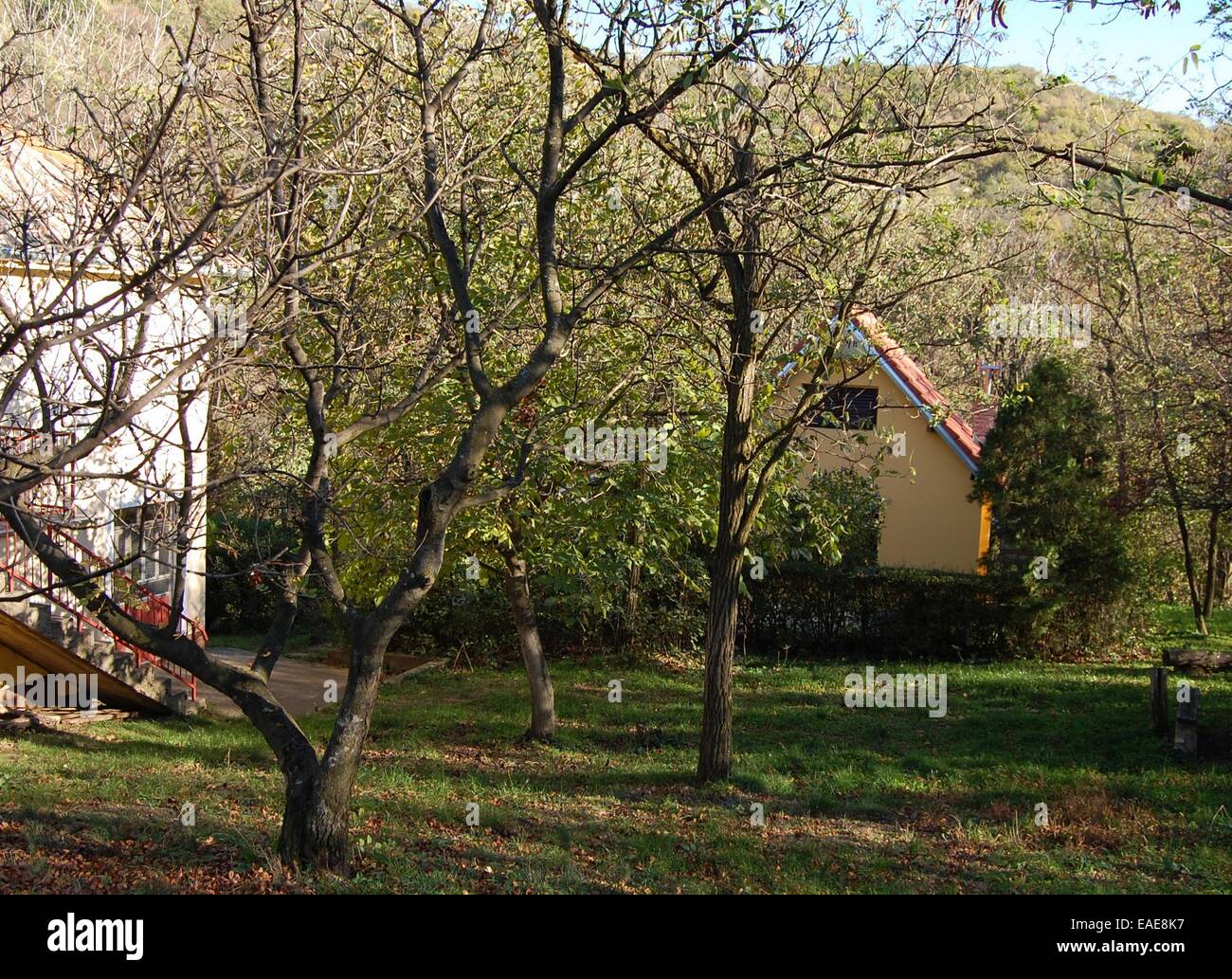 Cottages on the hill in the woods above the town of Vrsac in the fall of 2013. Stock Photo