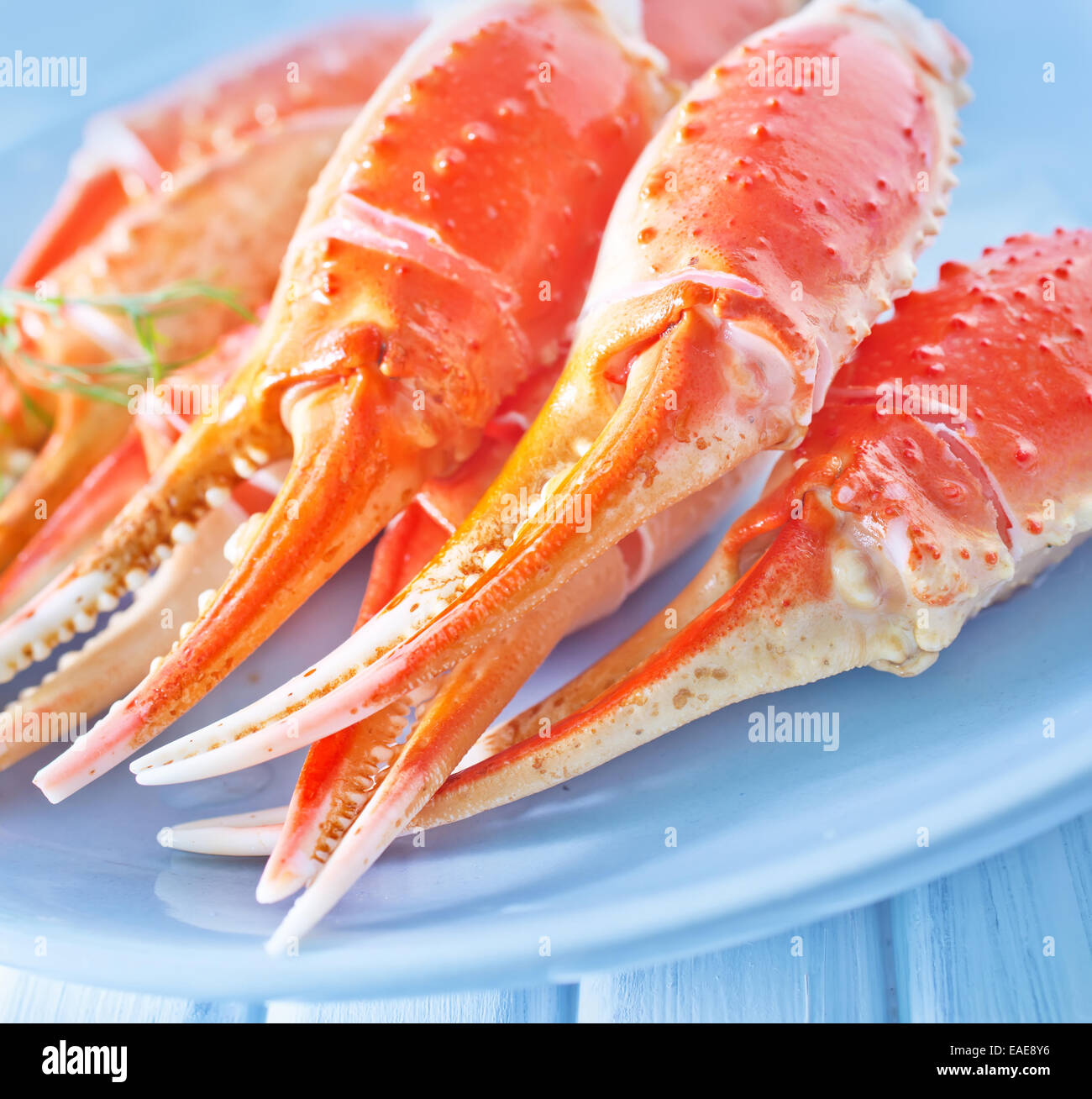 Crab With Red Claws High Resolution Stock Photography and Images Alamy