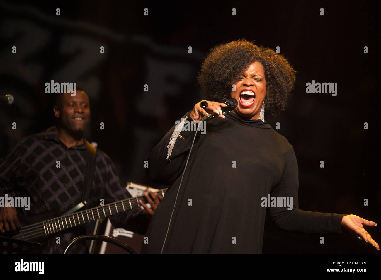 Dianne Reeves performs at 18th Jazz Fest Sarajevo. Stock Photo