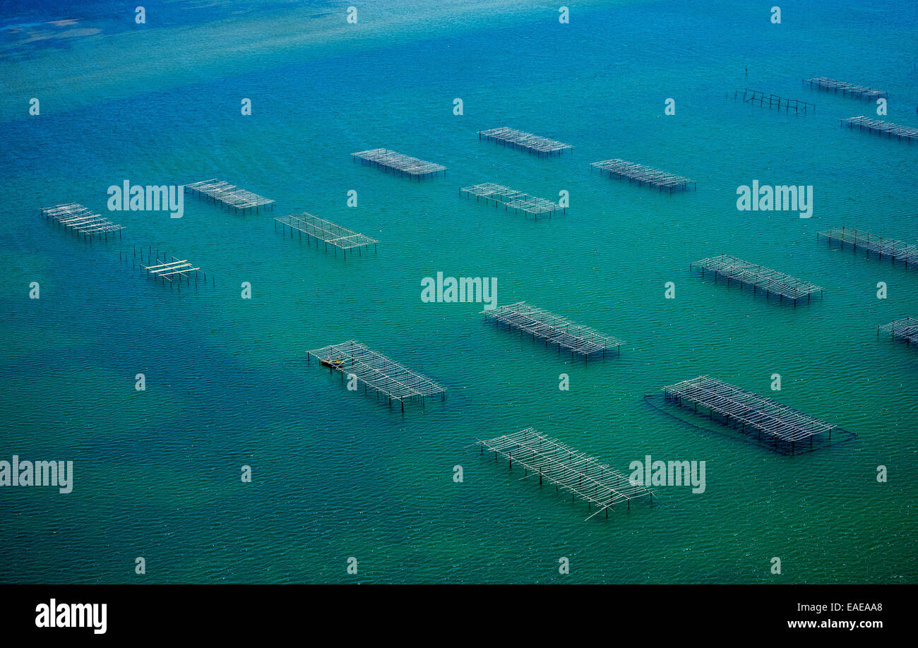 Aerial view, oyster and mussel farming in the Étang de Leucate, Lagoon of Leucate, Centre Ostréicole, Leucate Stock Photo