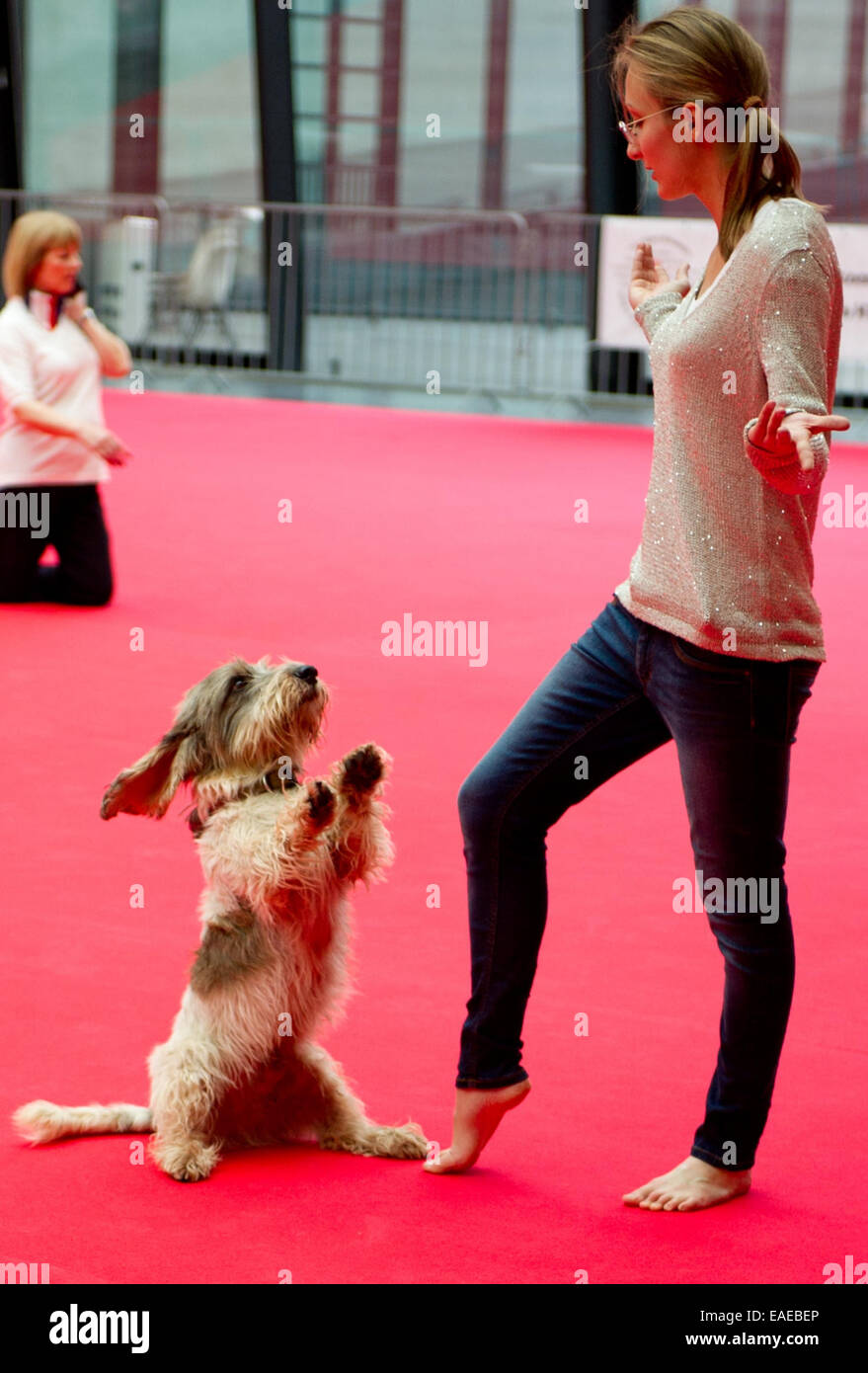 Stuttgart, Germany. 13th Nov, 2014. The French griffon 'Pelle' and Cora Czermak who will participate at the Dogdance European championship pose at the pet fair opening press conference 'Animal' in Stuttgart, Germany, 13 November 2014. The Dogdance European championship runs from 15 to 16 November during the fair. Credit:  dpa picture alliance/Alamy Live News Stock Photo