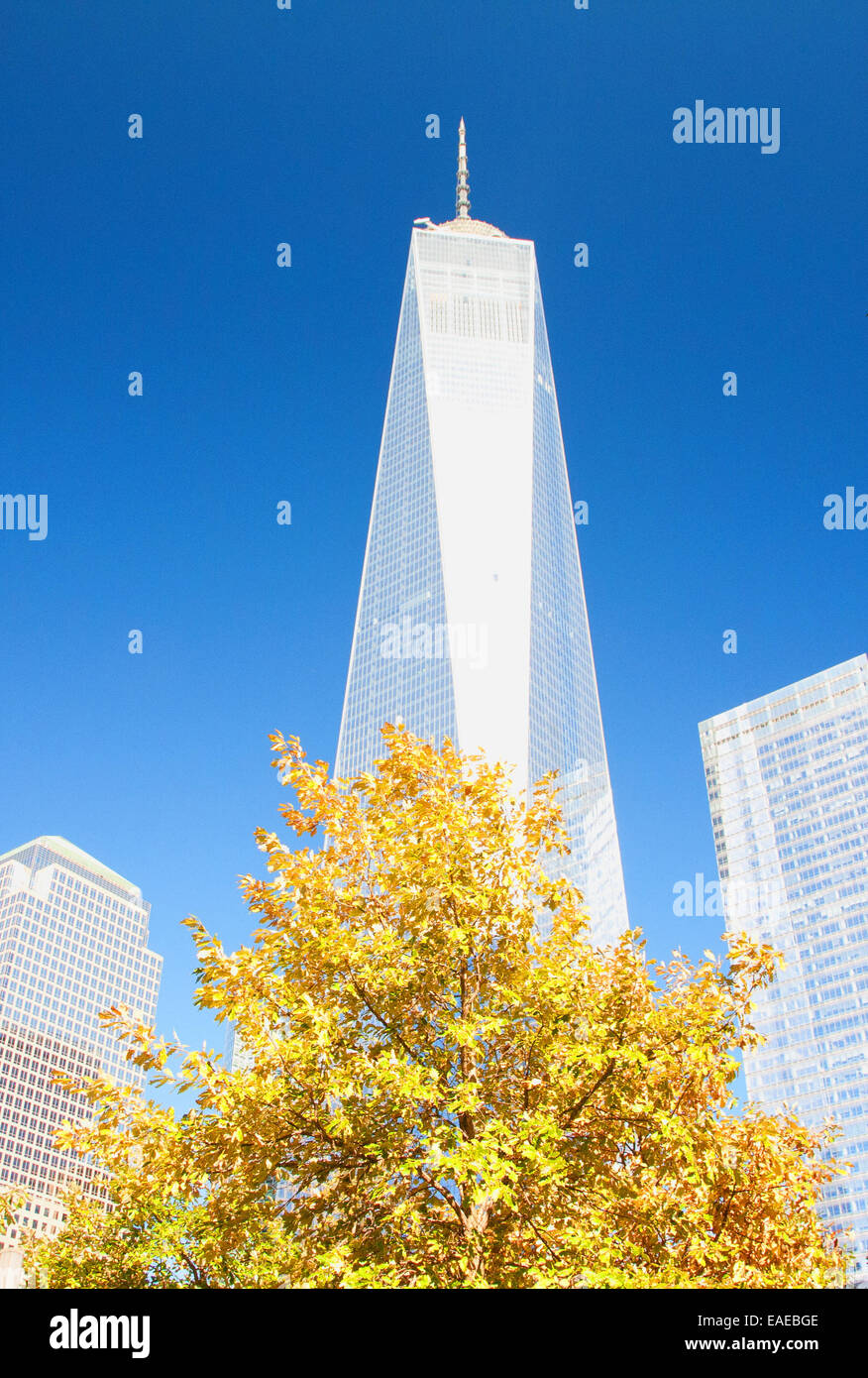 New York, USA. 27th October, 2014. World Trade Center in New York,USA
