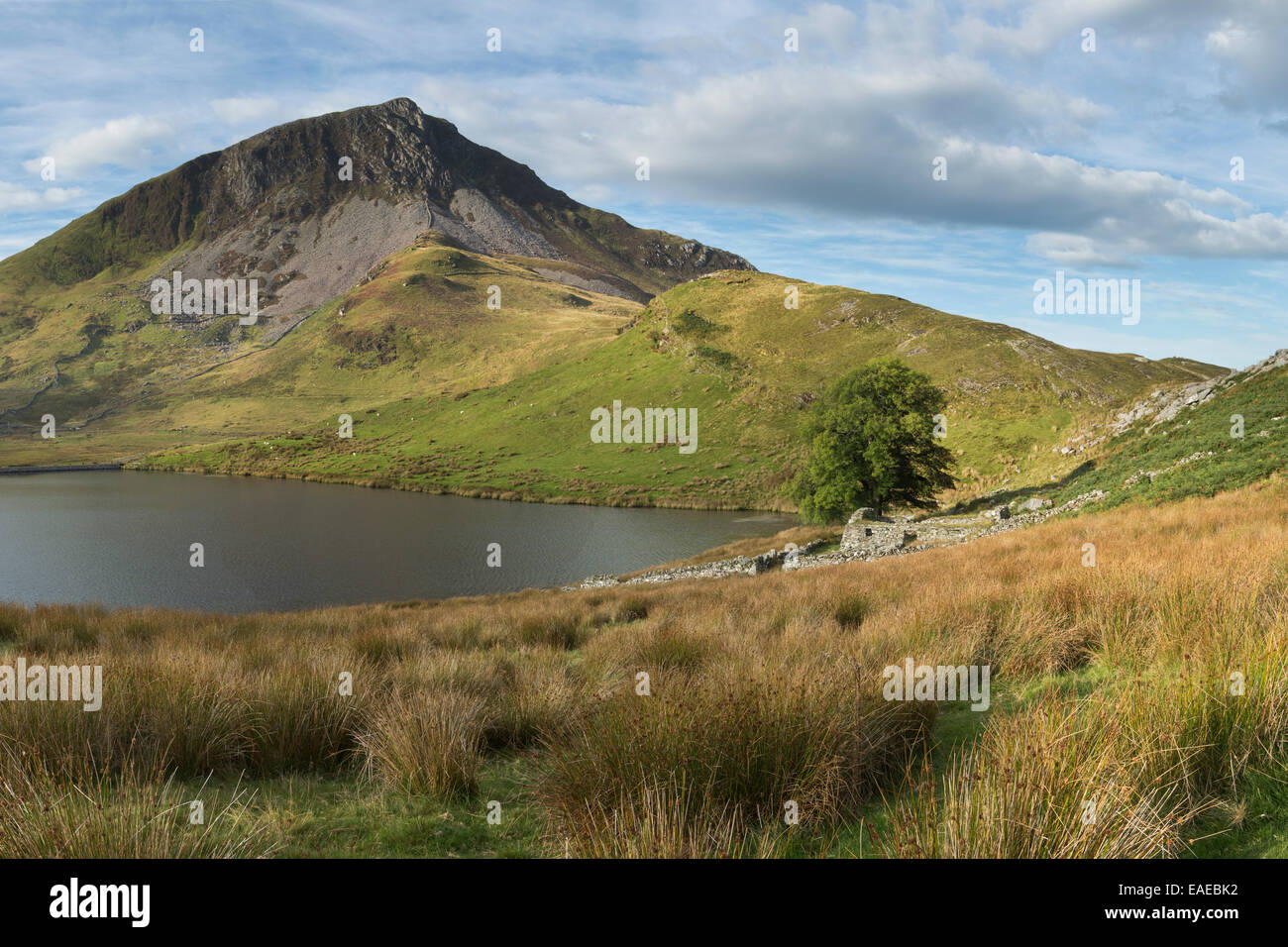 The early morning sun lights up the side of Y Garn towering over Llyn Dywarchen, Snowdonia, North Wales. Stock Photo