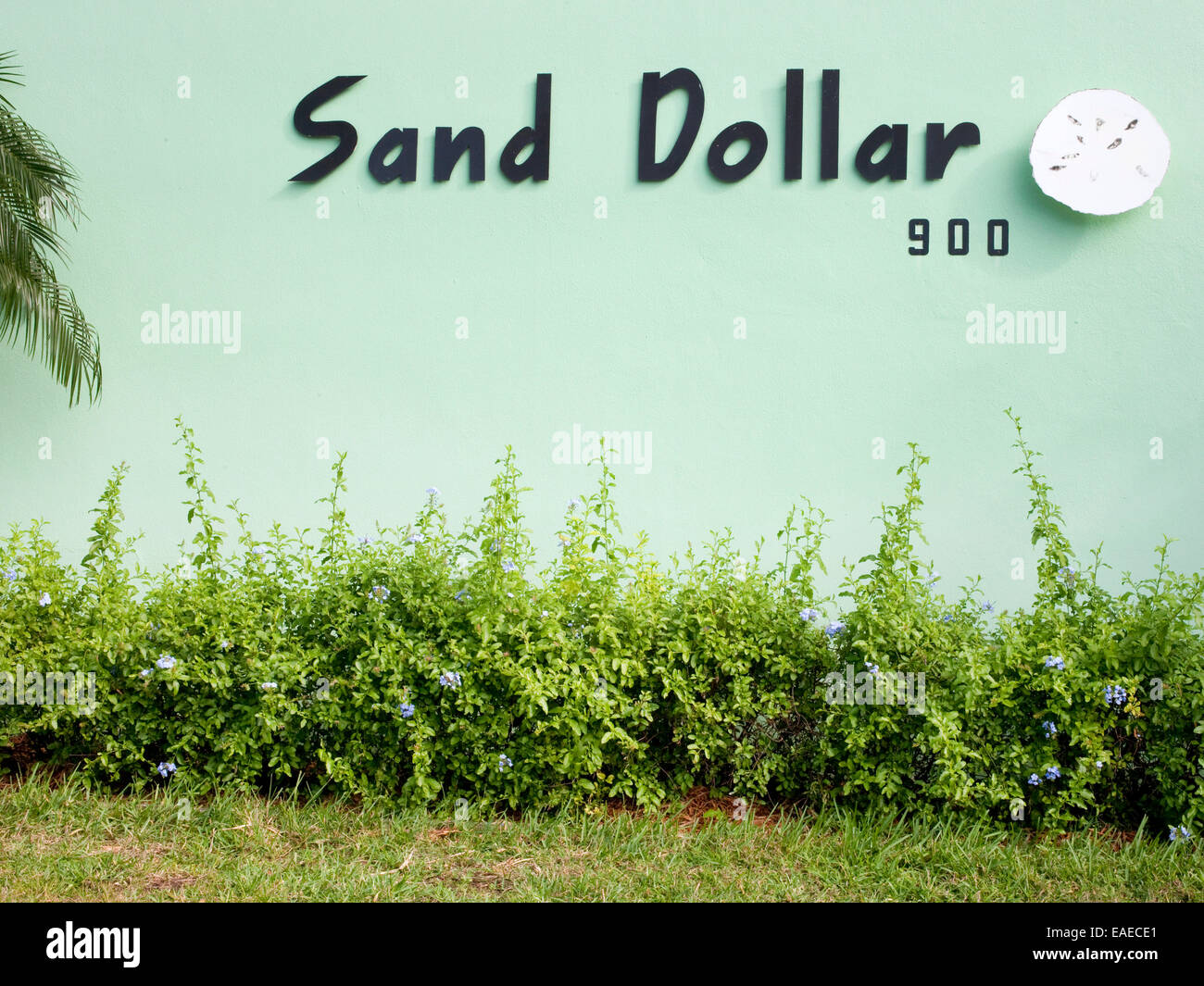 Sand Dollar Motel Sign Stock Photo