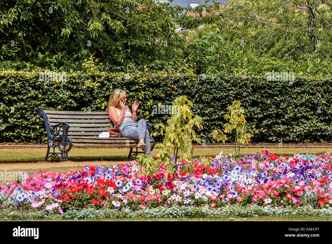 making Calls In The Park Oxfordshire UK Stock Photo