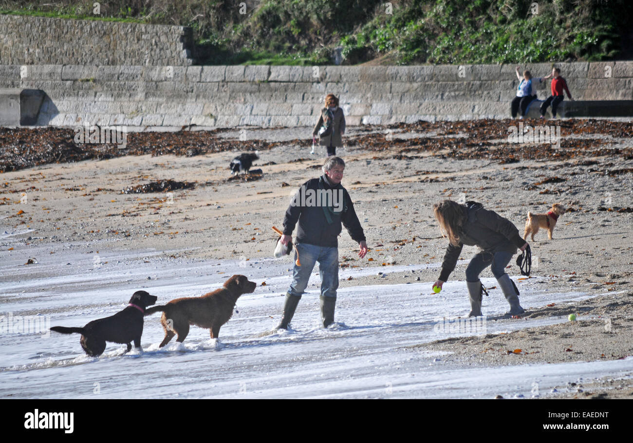 People and dogs on a beach in Cornwall Stock Photo