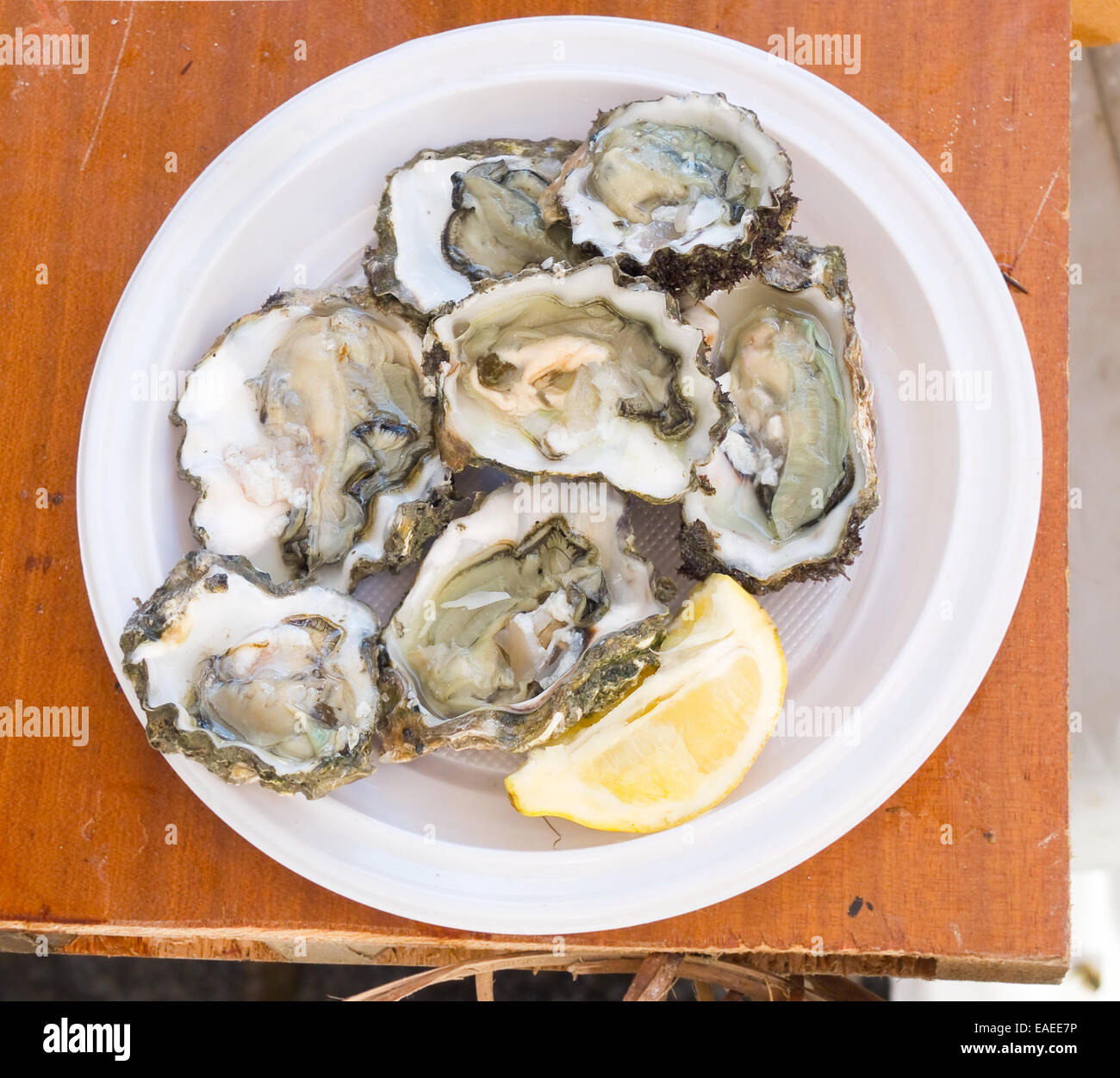 Fresh oysters. Stock Photo