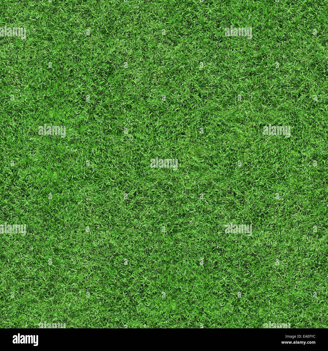 Green grass texture seamless background, perfect for nature, environment, sport and more... Stock Photo