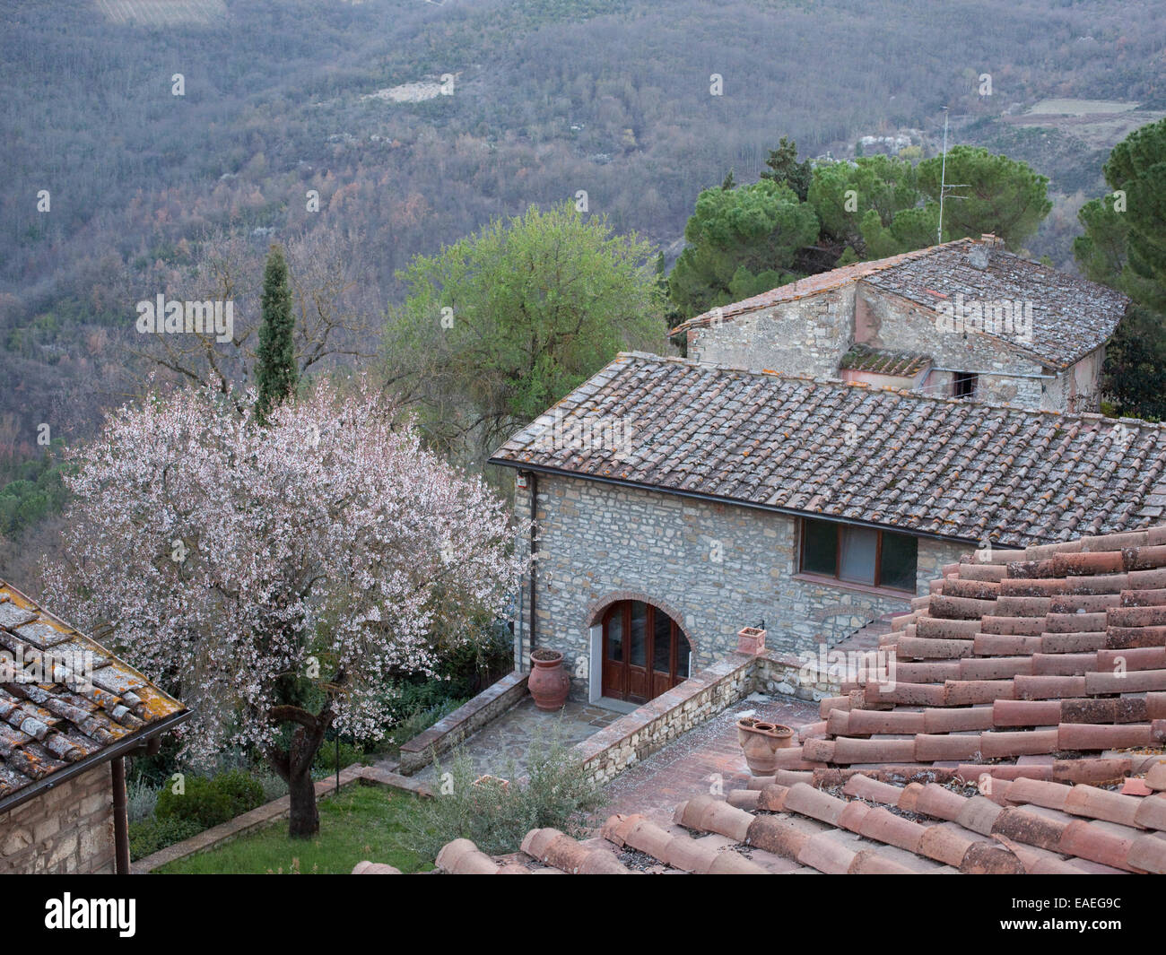 view of courtyard and old stone buildings in Tuscany in Spring Stock Photo