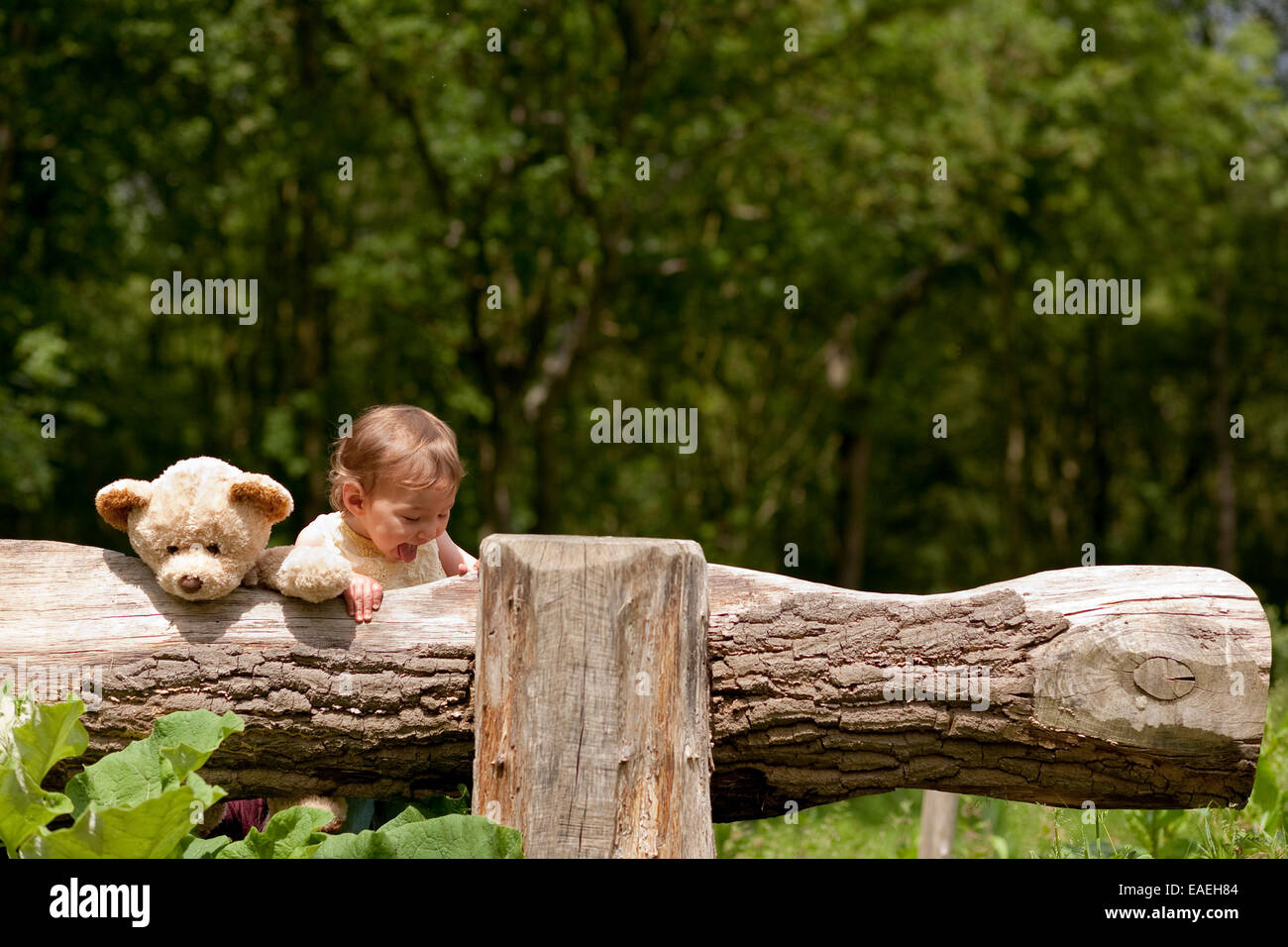 toddler 13 months old (mixed race Caucasian/Oriental Asian girl) exploring the outdoors  supported by teddy bear Stock Photo