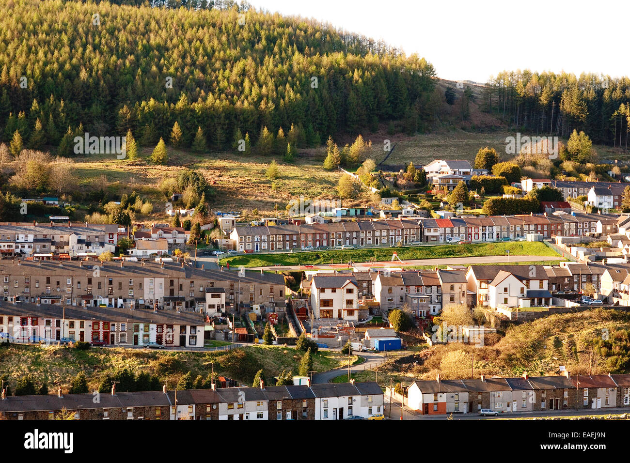 Terraced homes at Cwmparc, near Treorchy, Rhondda, Wales in the evening sun Stock Photo
