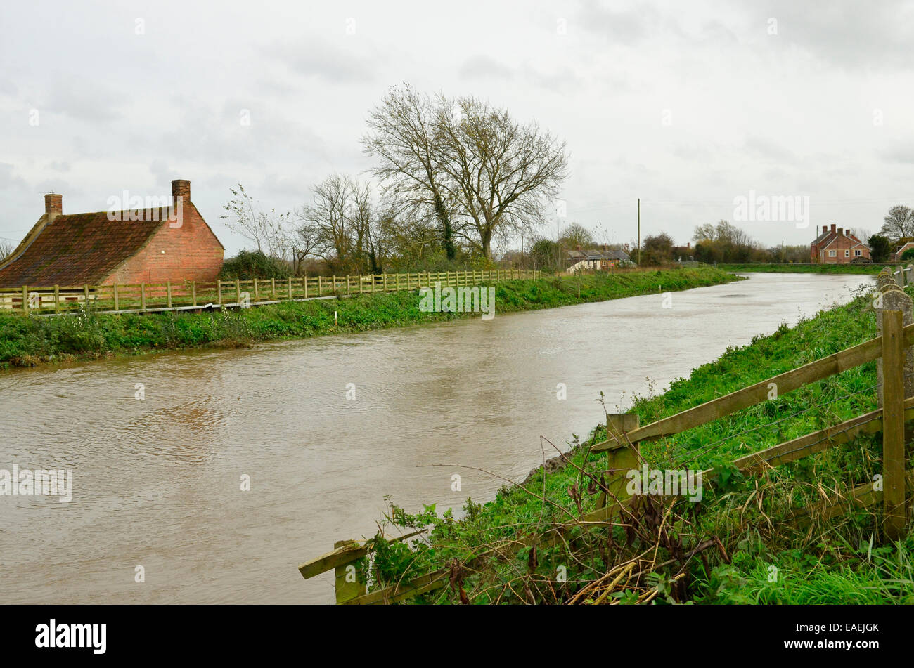 Burrowbridge, UK. 13th November, 2014. UK Weather: Banks of the river Parrett nearly to the top with floodwater still rising at Burrowbridge in Somerset. Credit:  Robert Timoney/Alamy Live News Stock Photo