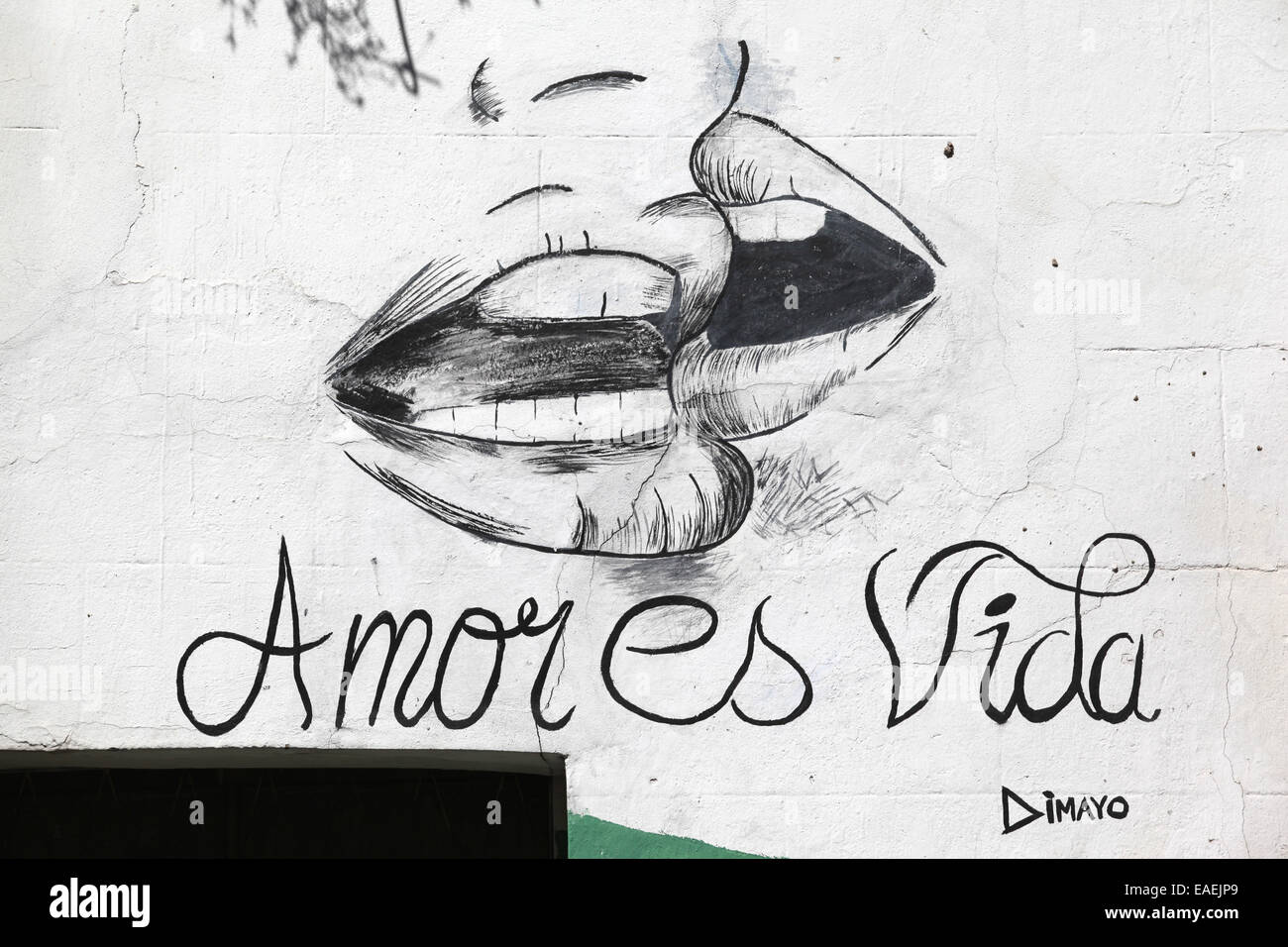 'Amor es Vida'. Street art in San Telmo, Buenos Aires. Argentina. Stock Photo