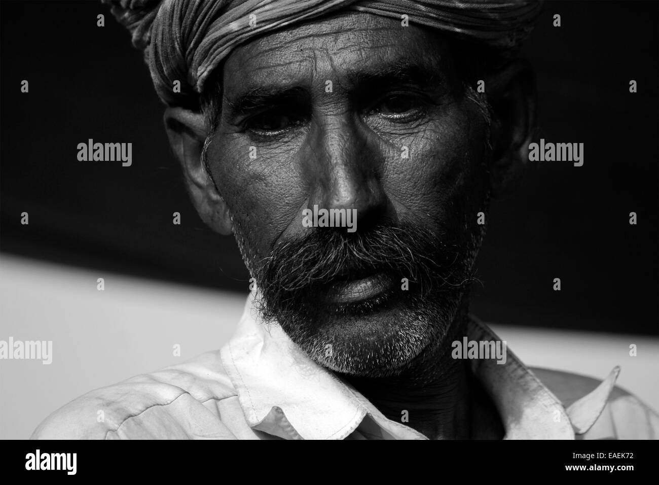 Annual camel Black and White Stock Photos & Images - Alamy