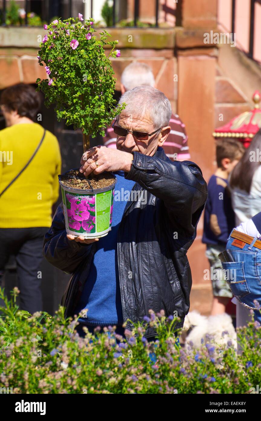 Old man at garden centre hi-res stock photography and images - Alamy